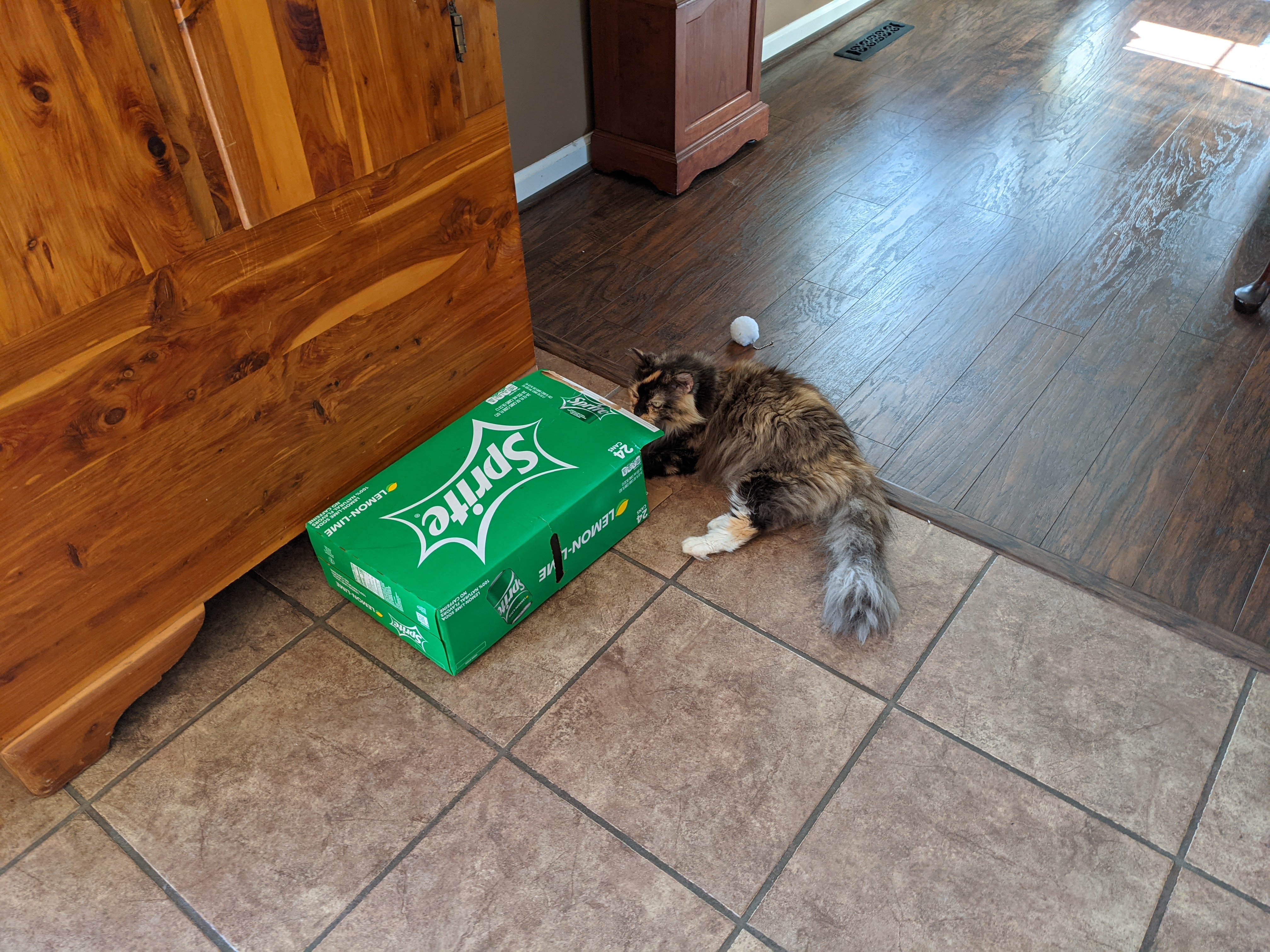 PXL 20210429 212745378