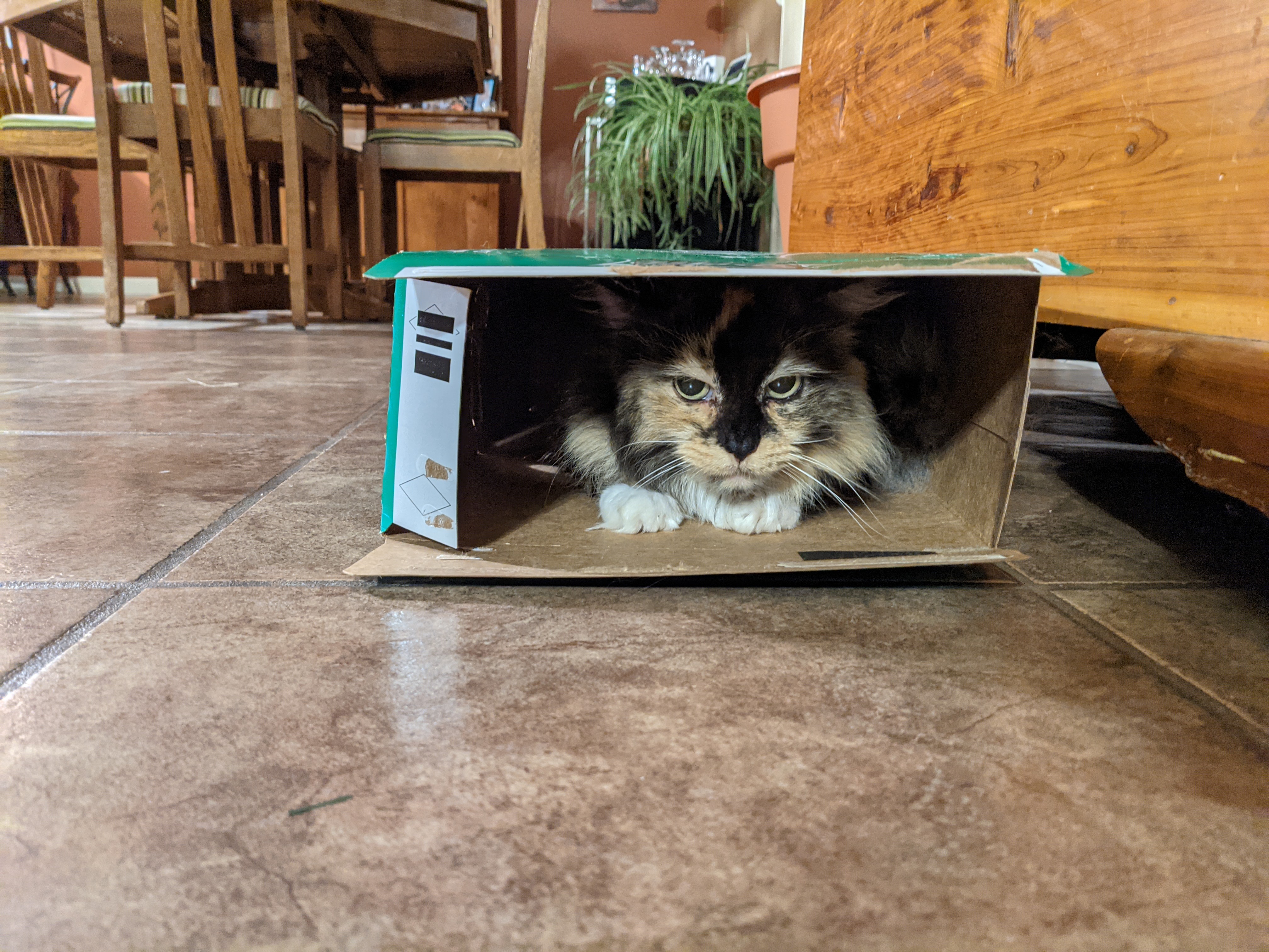 PXL 20210430 014444285