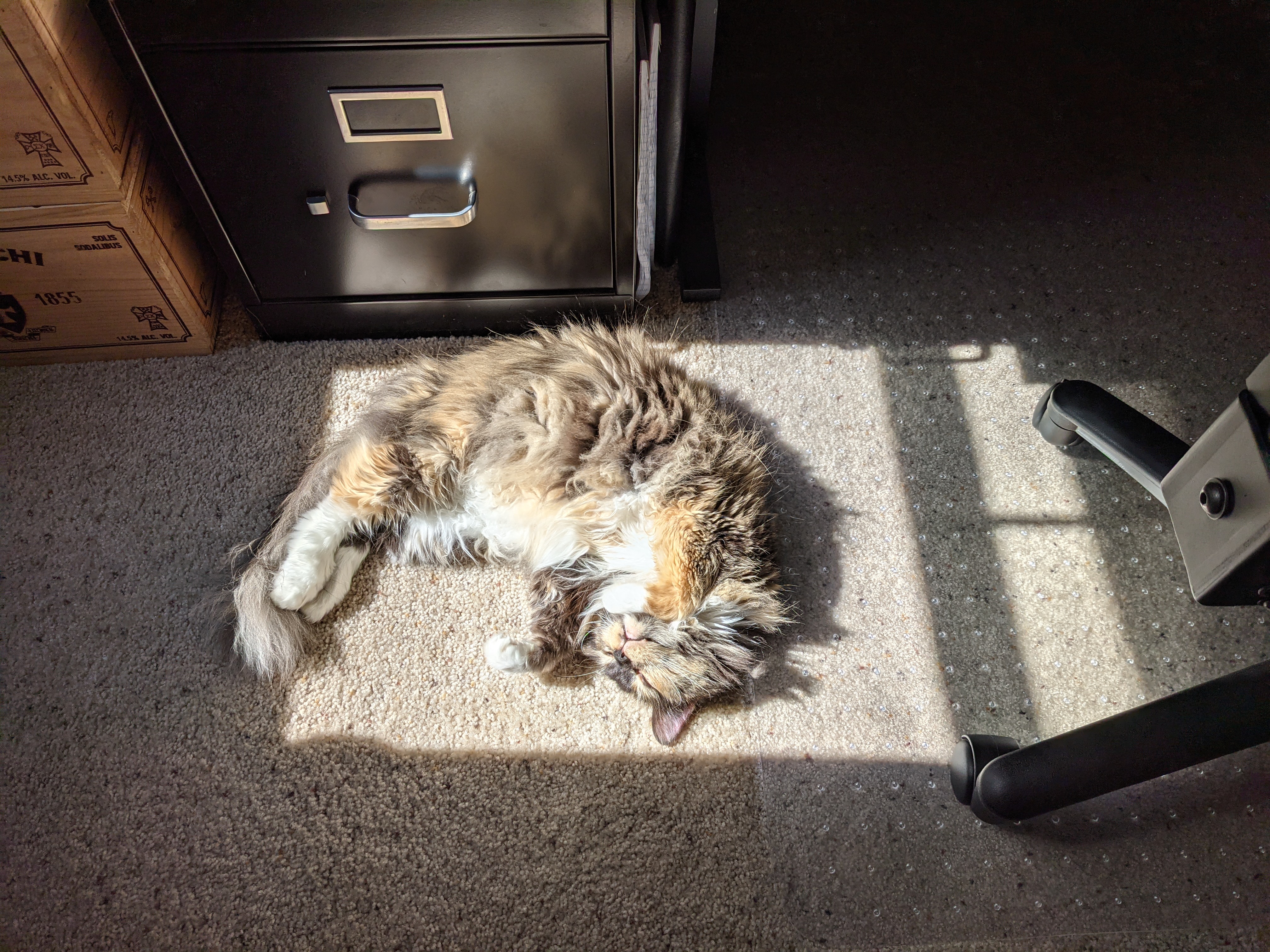 PXL 20210505 211152732