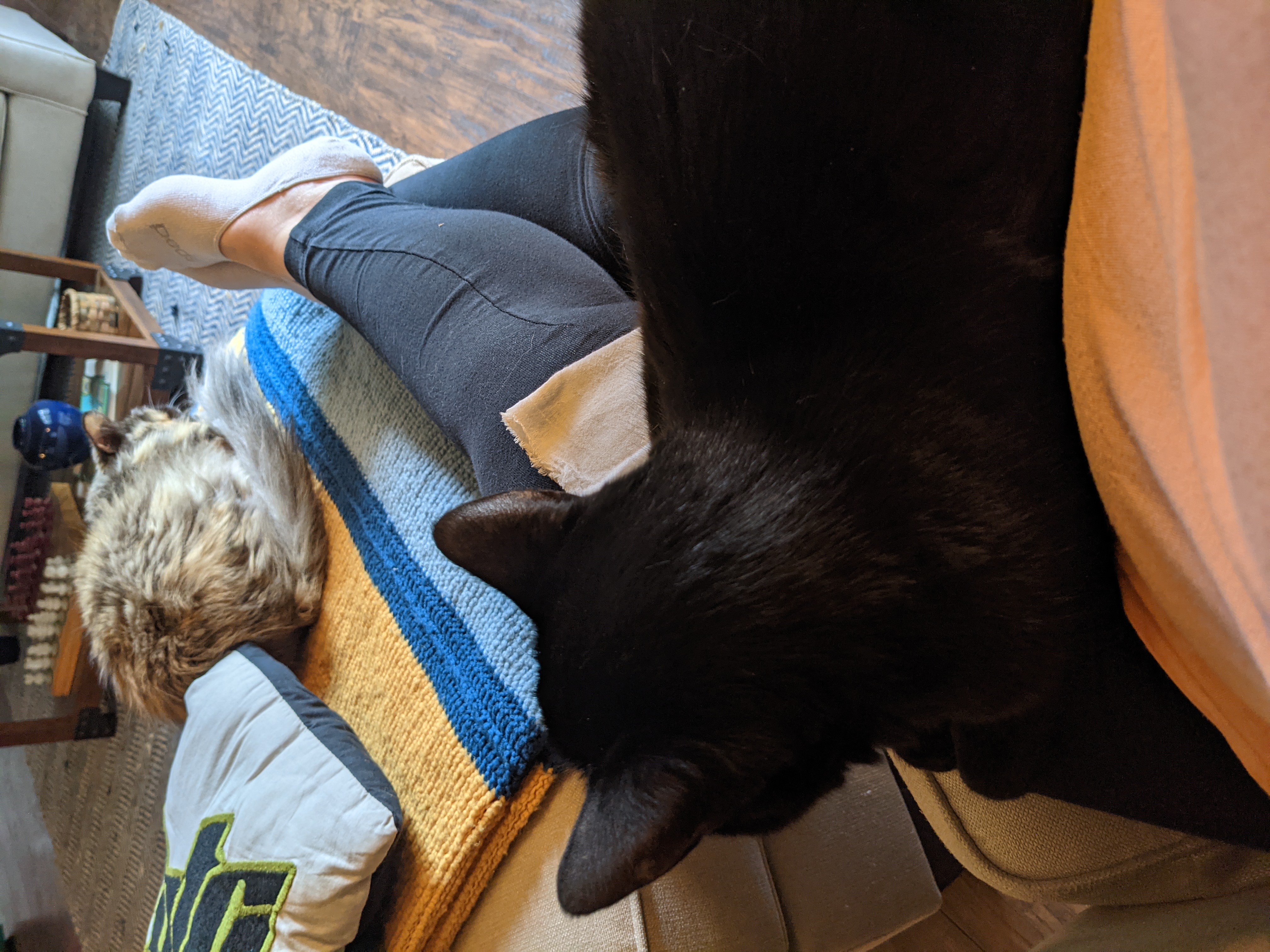 PXL 20210509 222322461