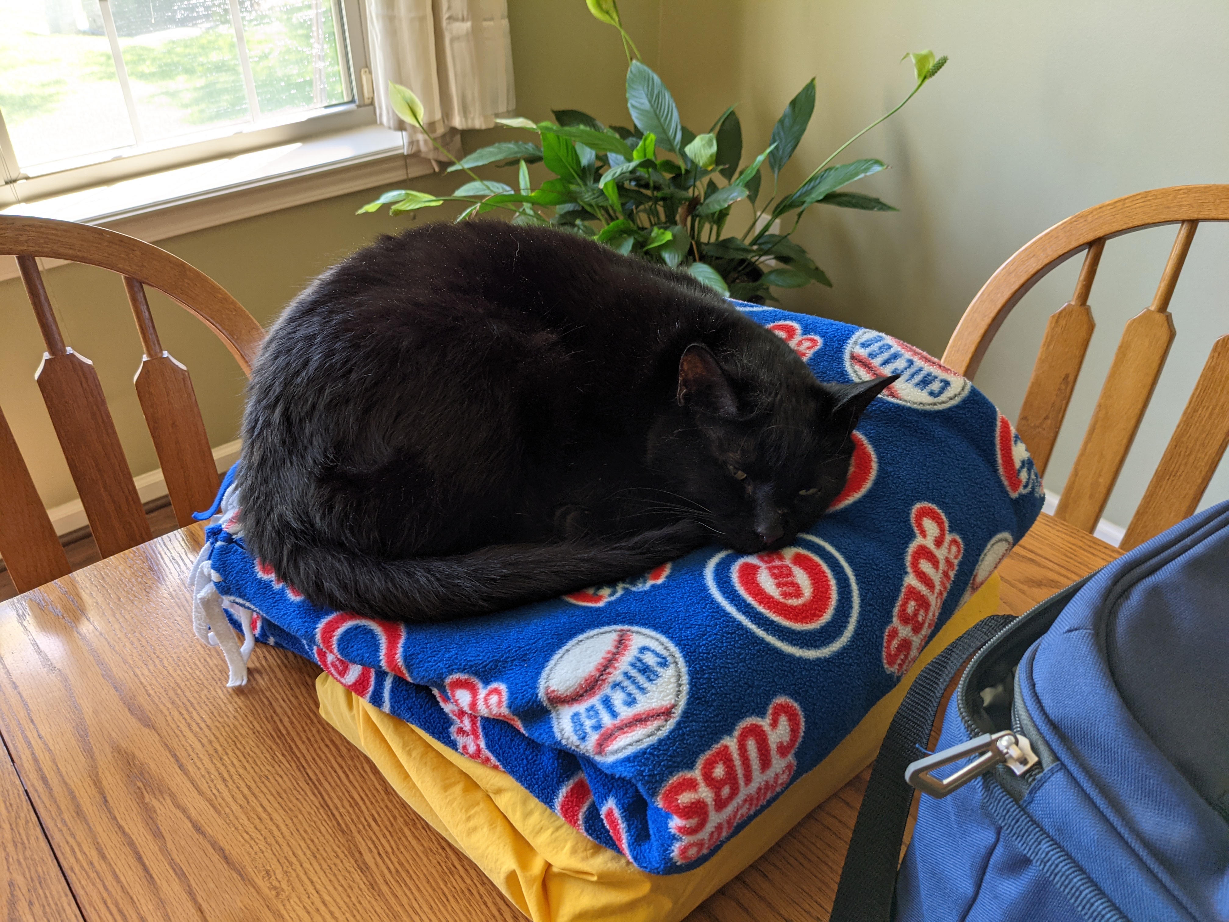 PXL 20210513 163812284