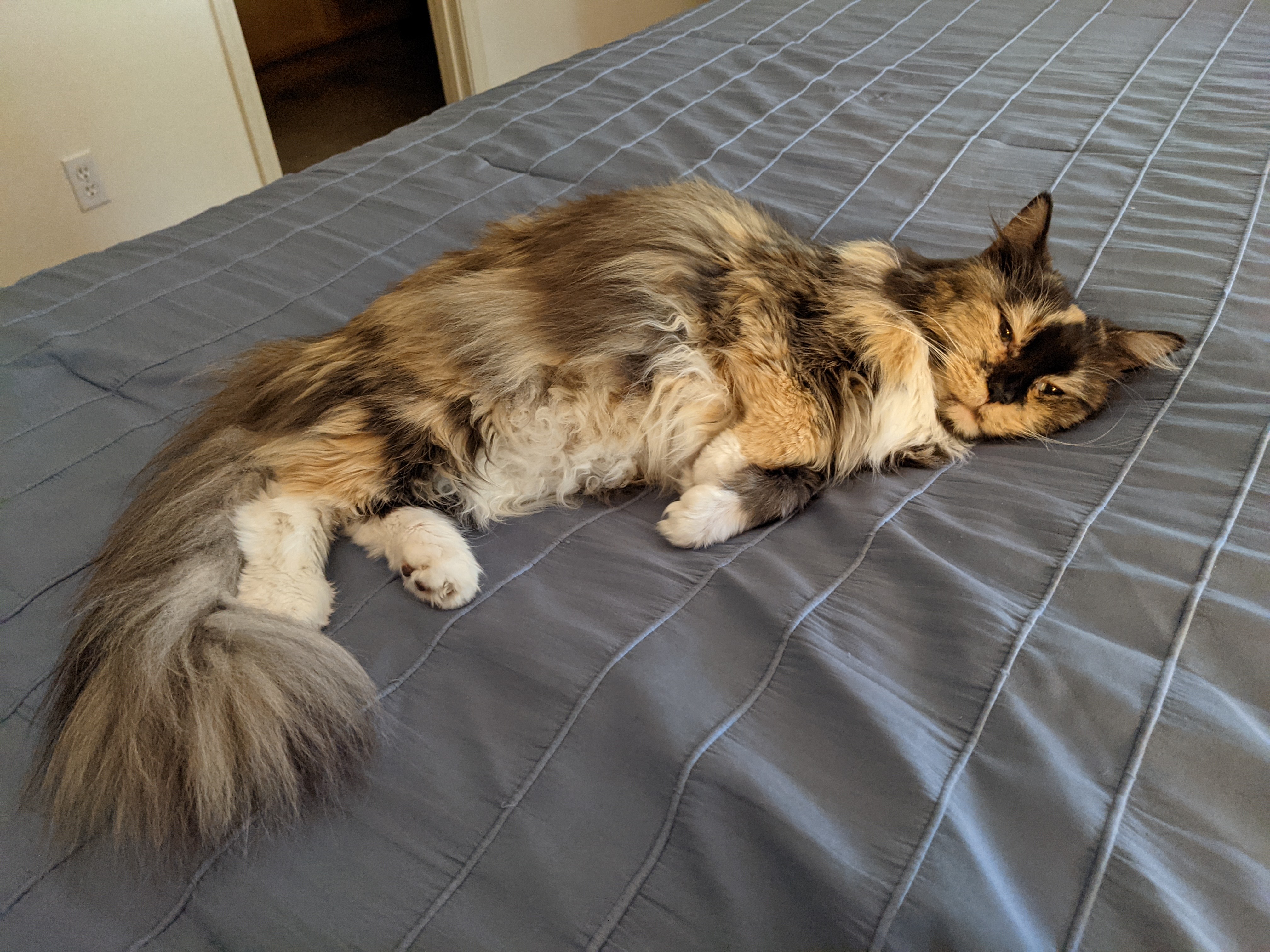 PXL 20210515 002057892