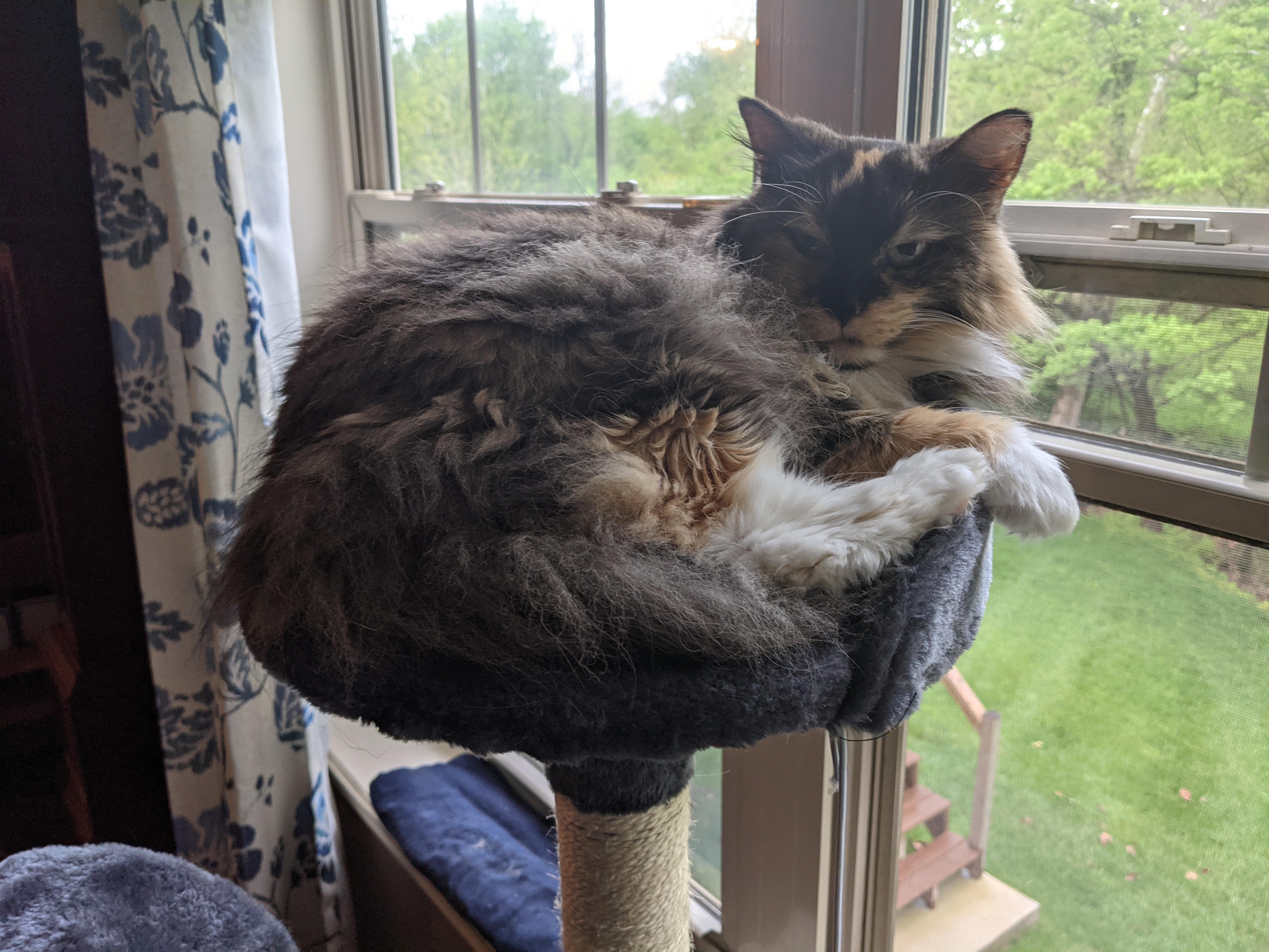 PXL 20210517 235614000