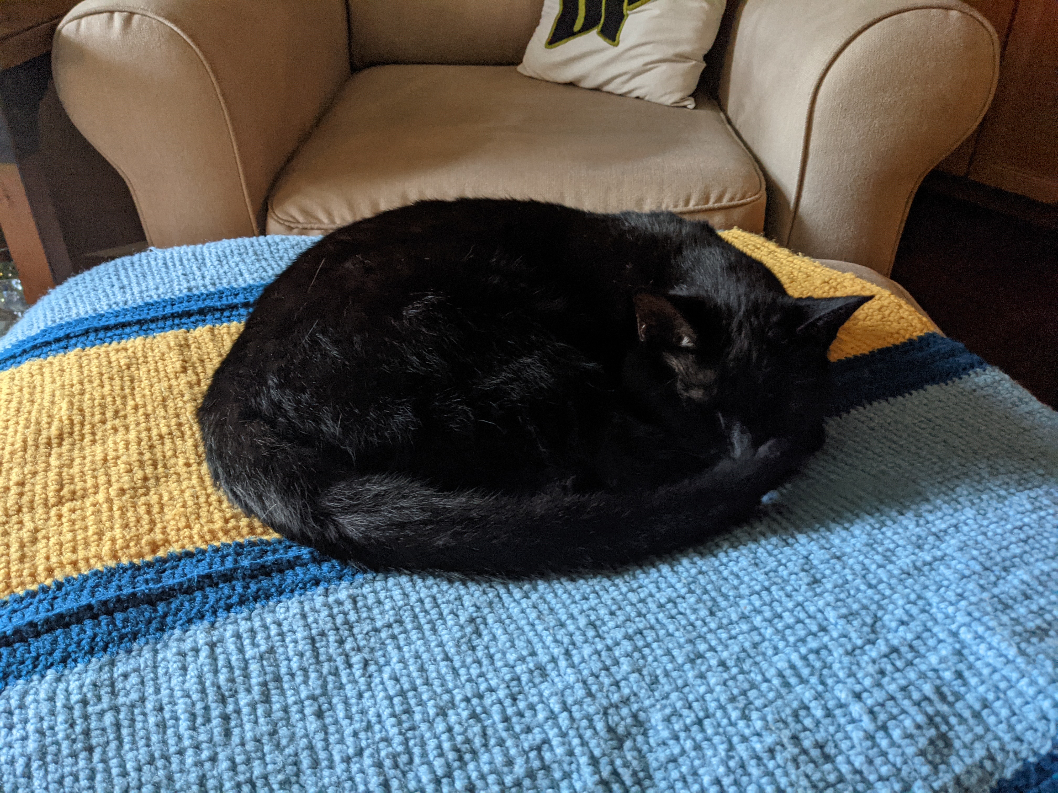 PXL 20210517 235621968