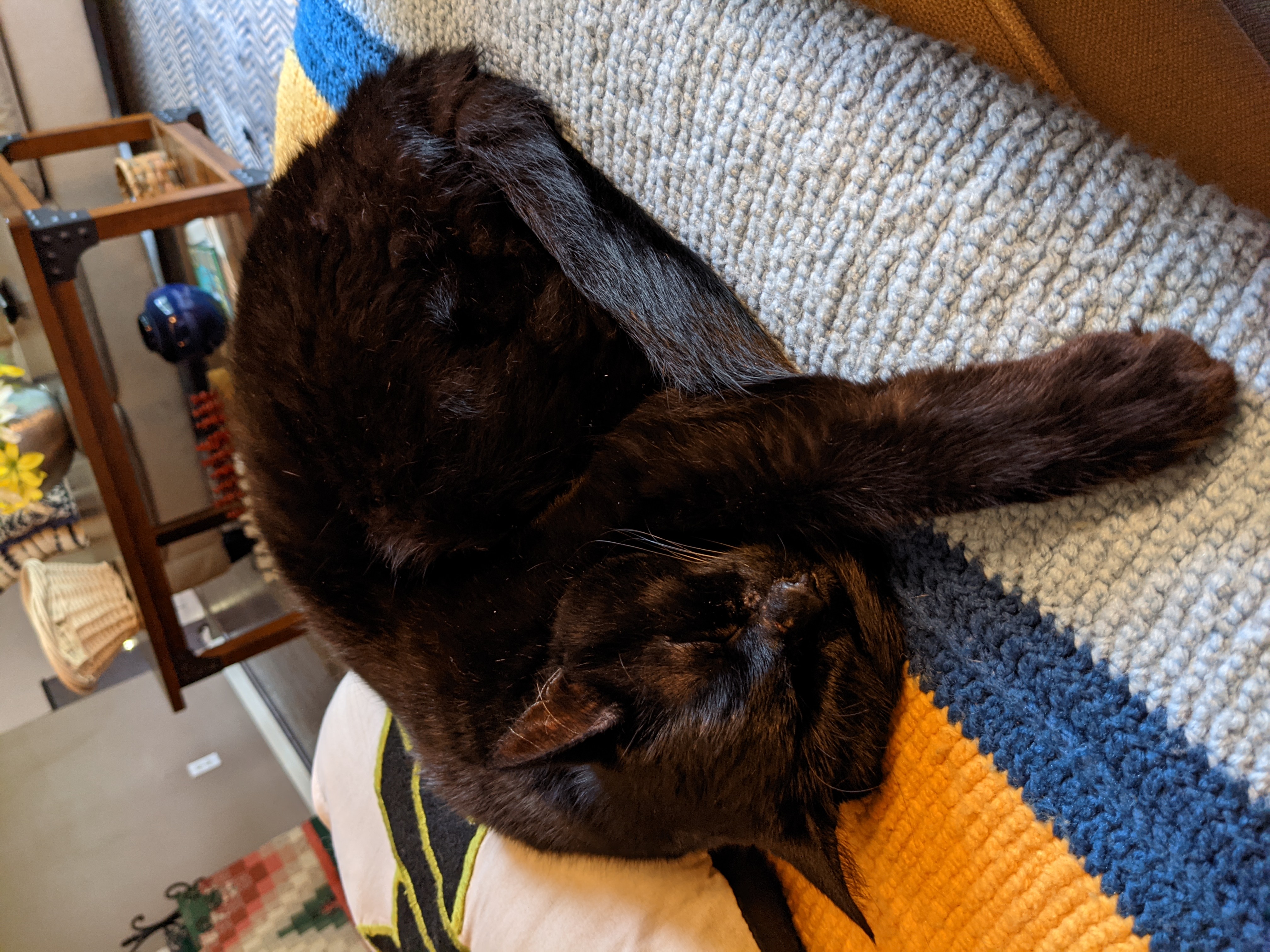 PXL 20210519 225017401