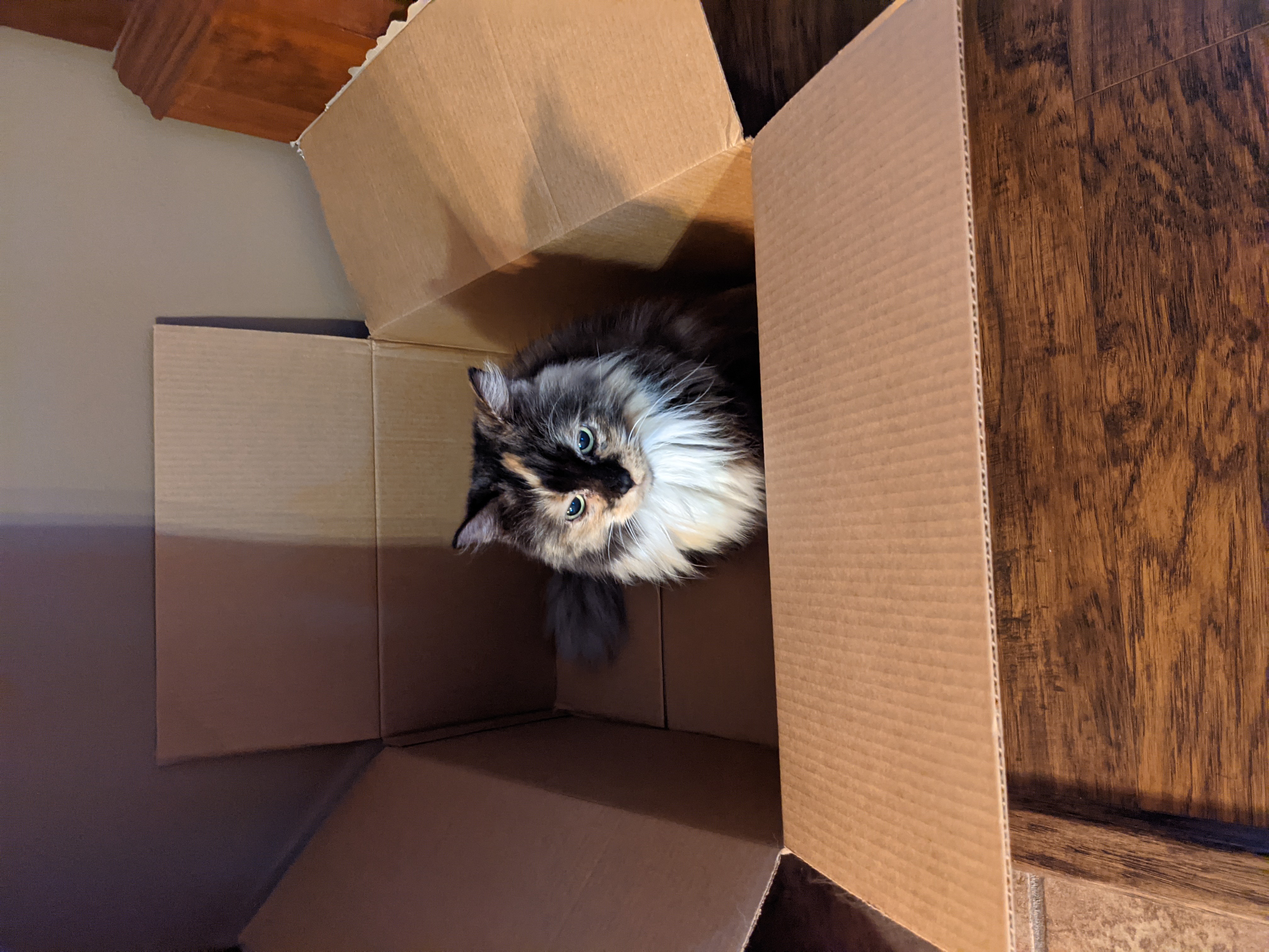 PXL 20210522 002735216