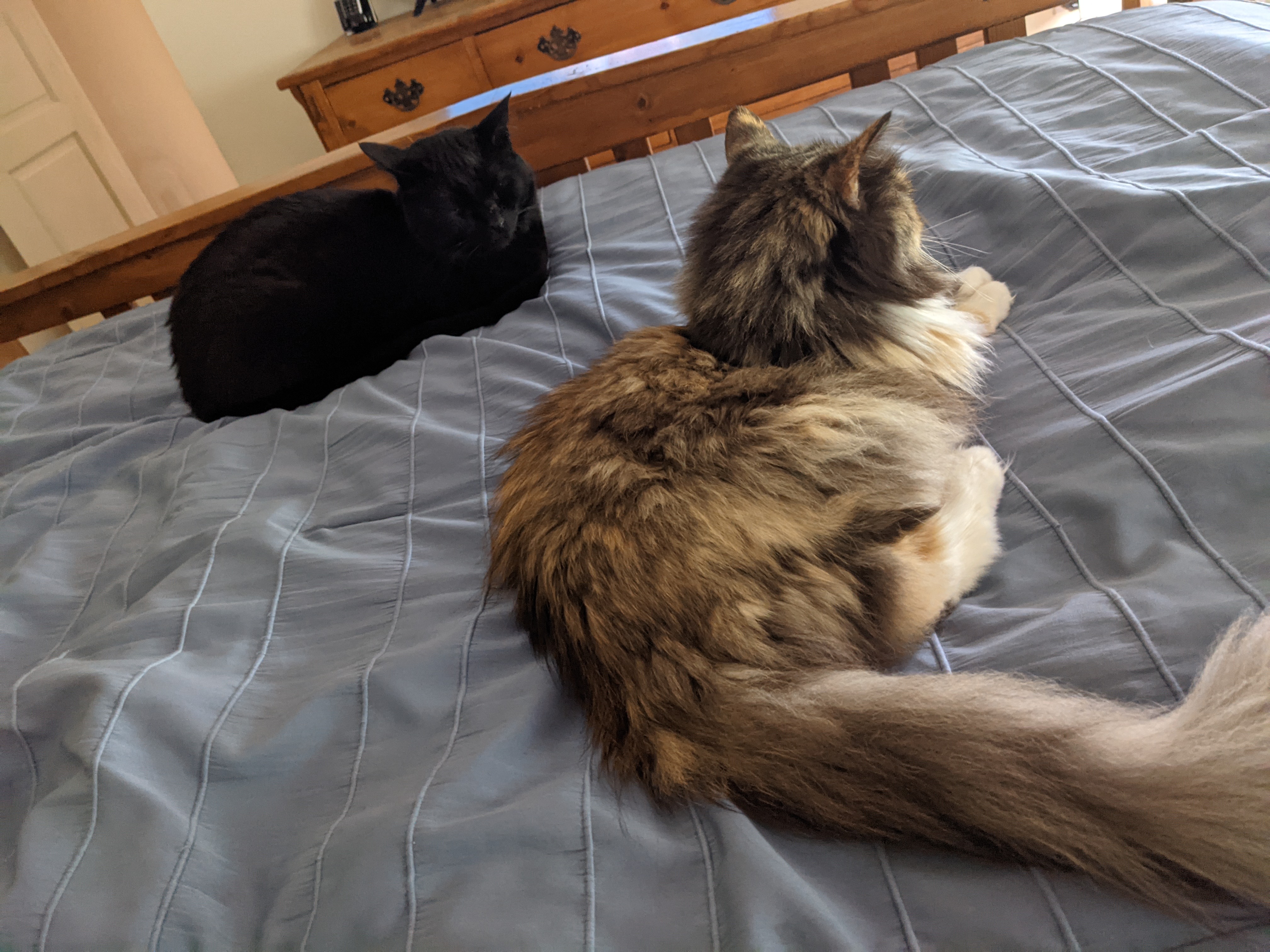 PXL 20210527 153432191