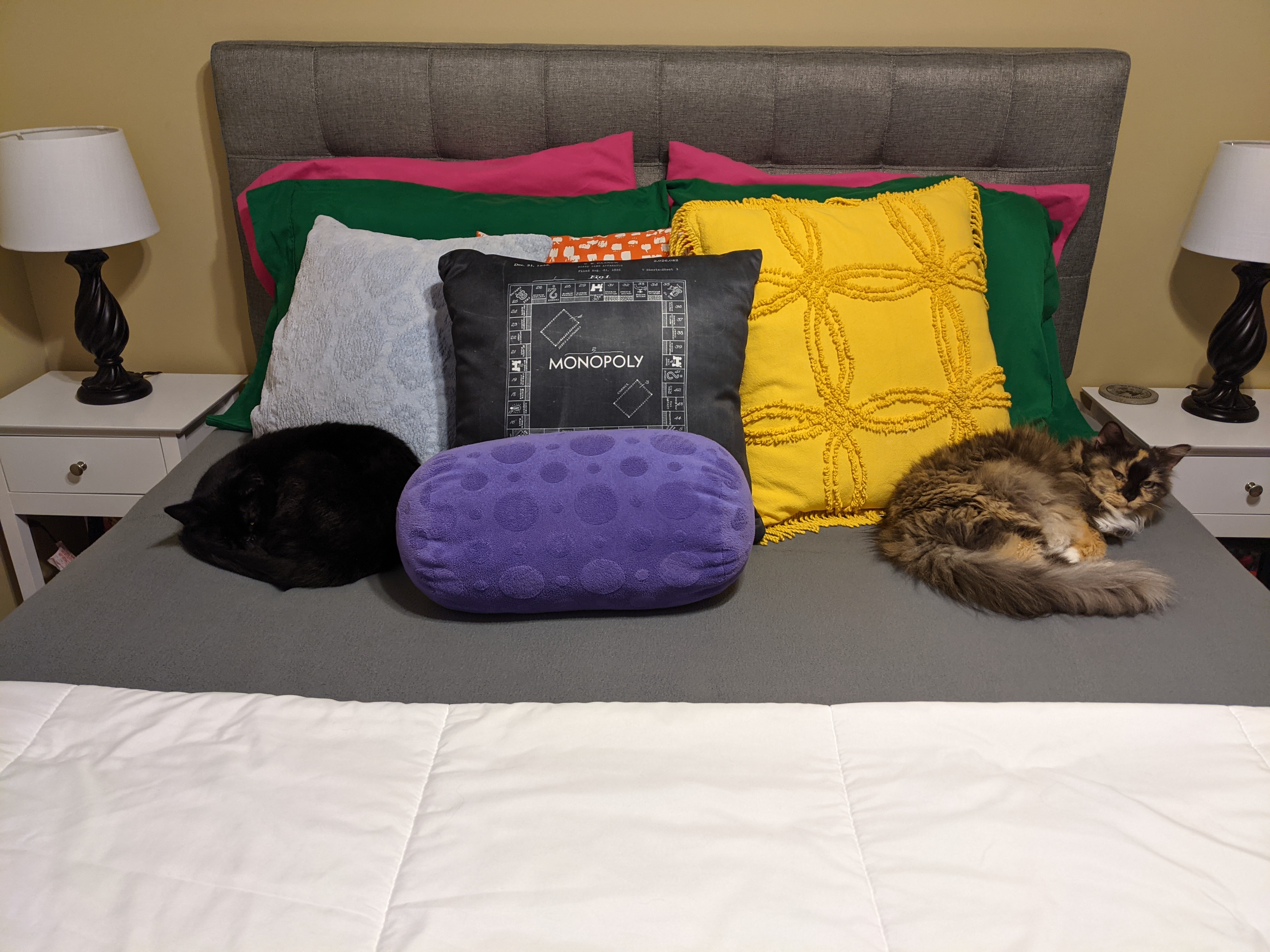 PXL 20210530 001230380