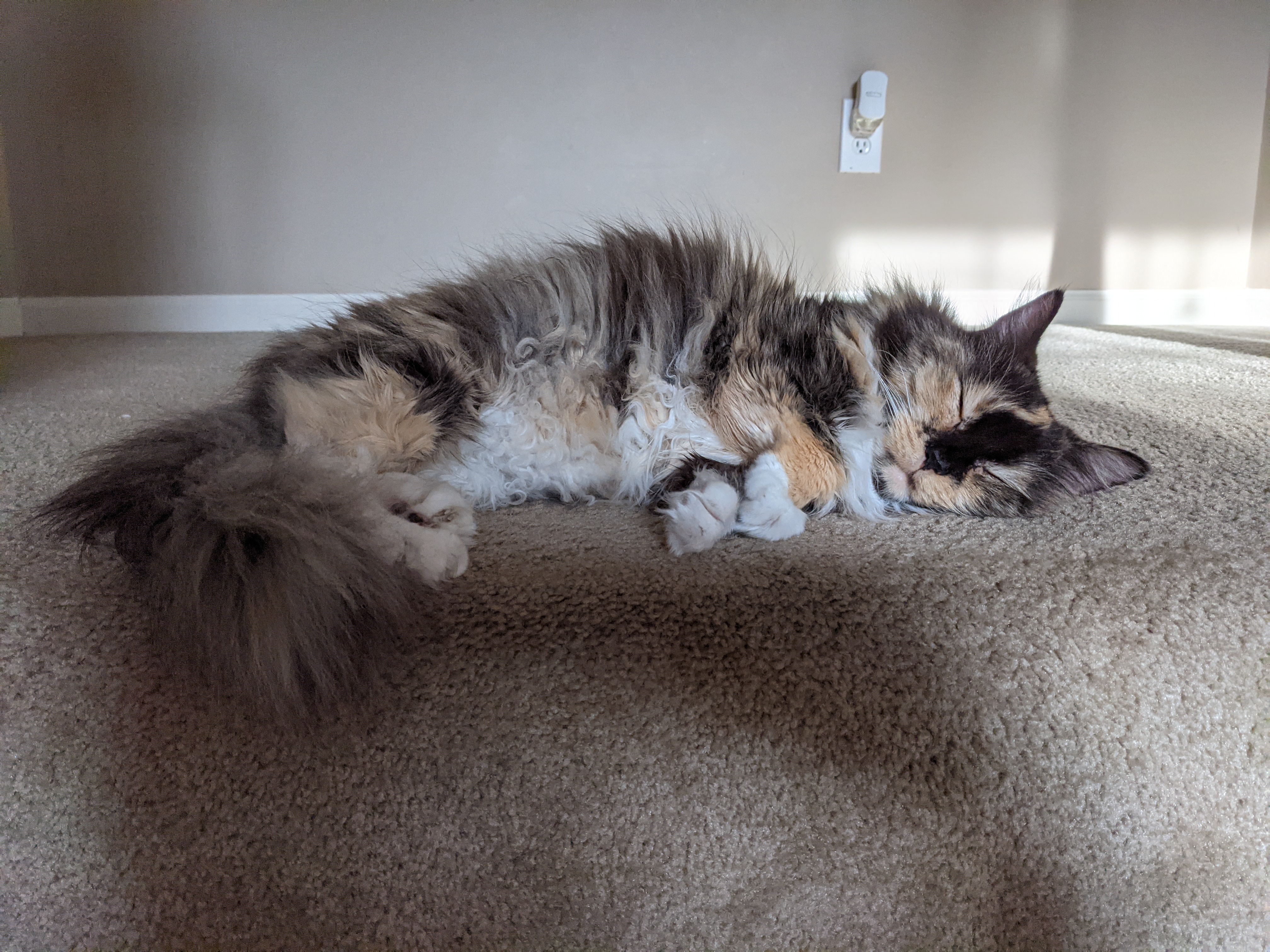 PXL 20210607 121649912