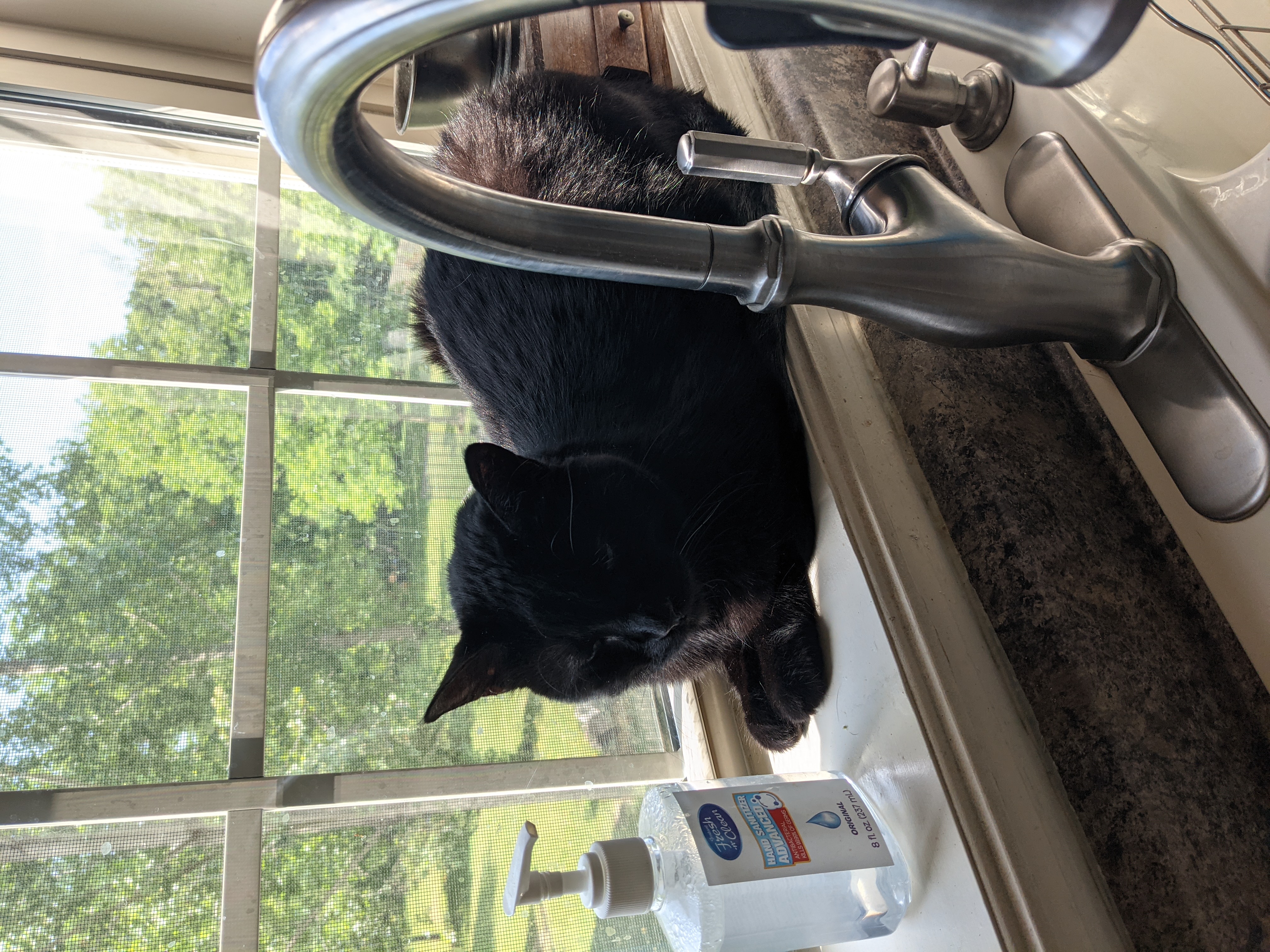 PXL 20210612 153156758