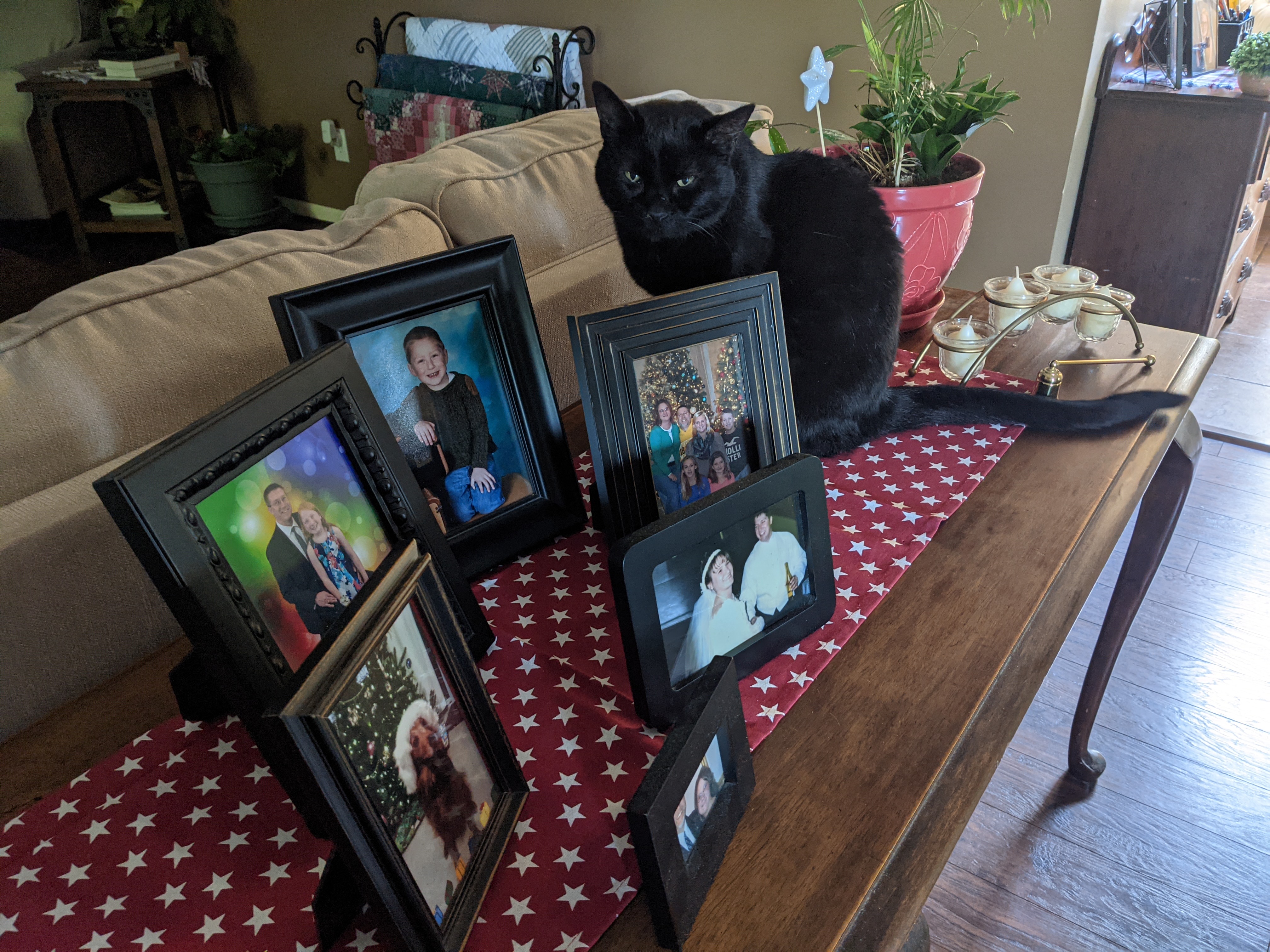 PXL 20210618 123951860