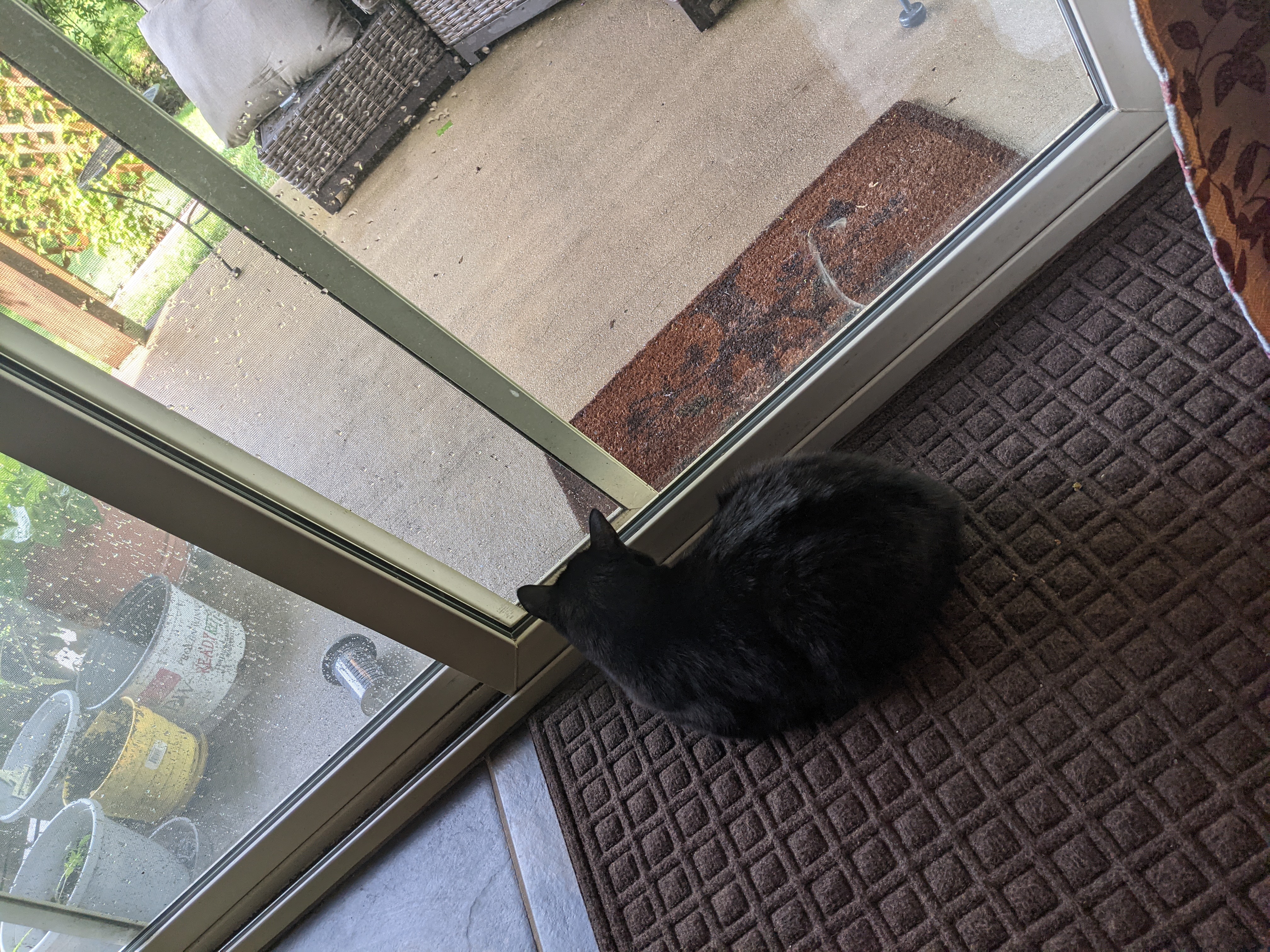 PXL 20210625 152051458