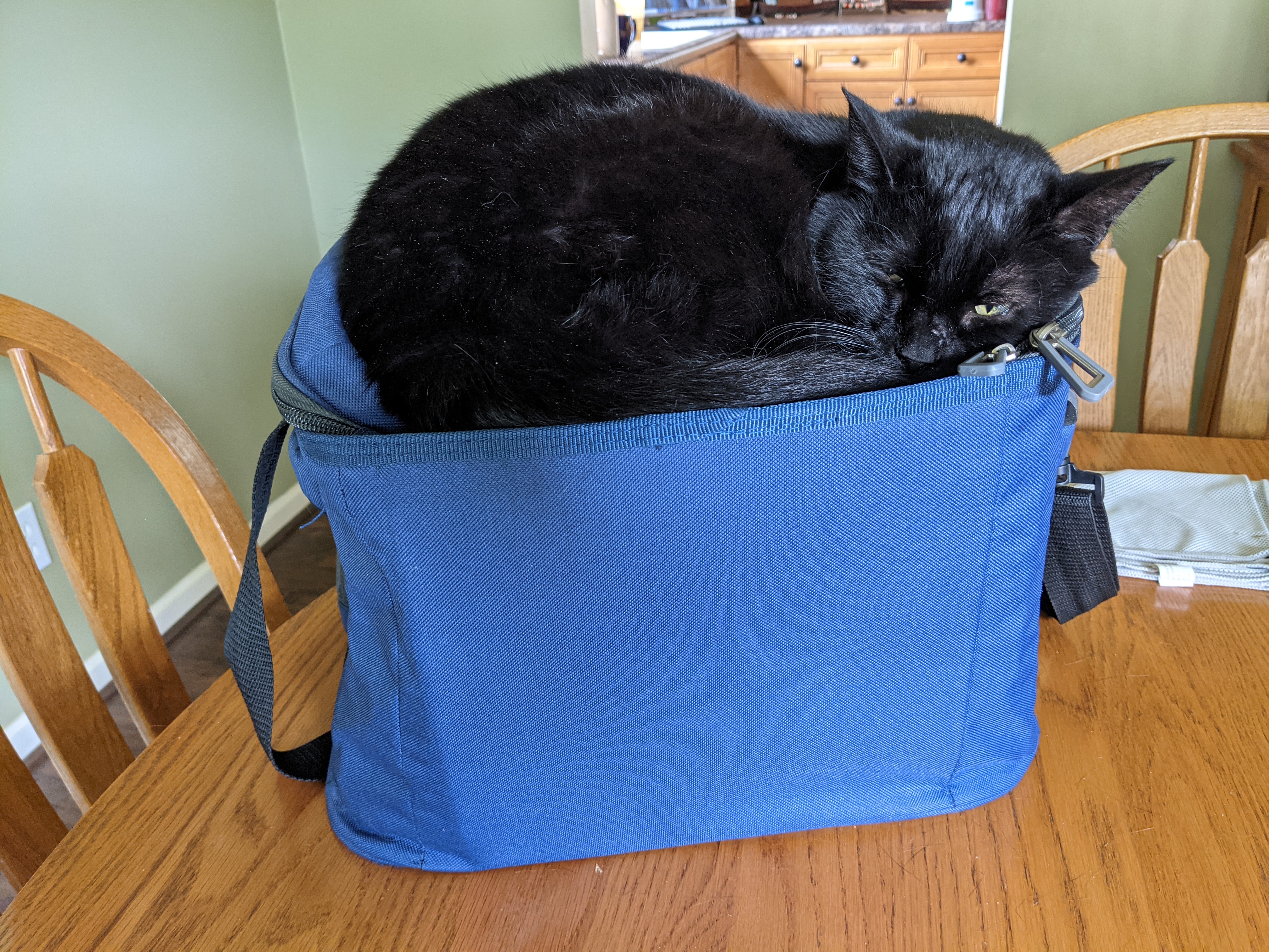 PXL 20210626 192534649