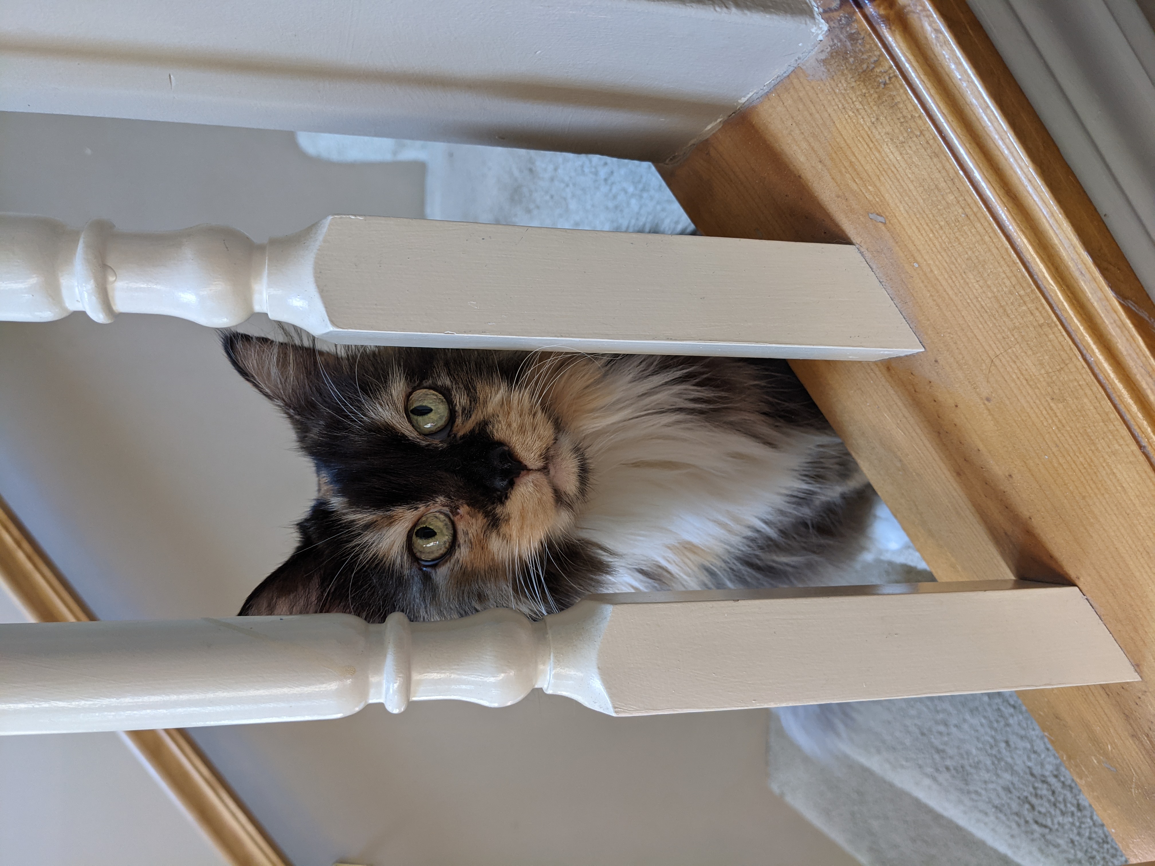 PXL 20210705 154930825