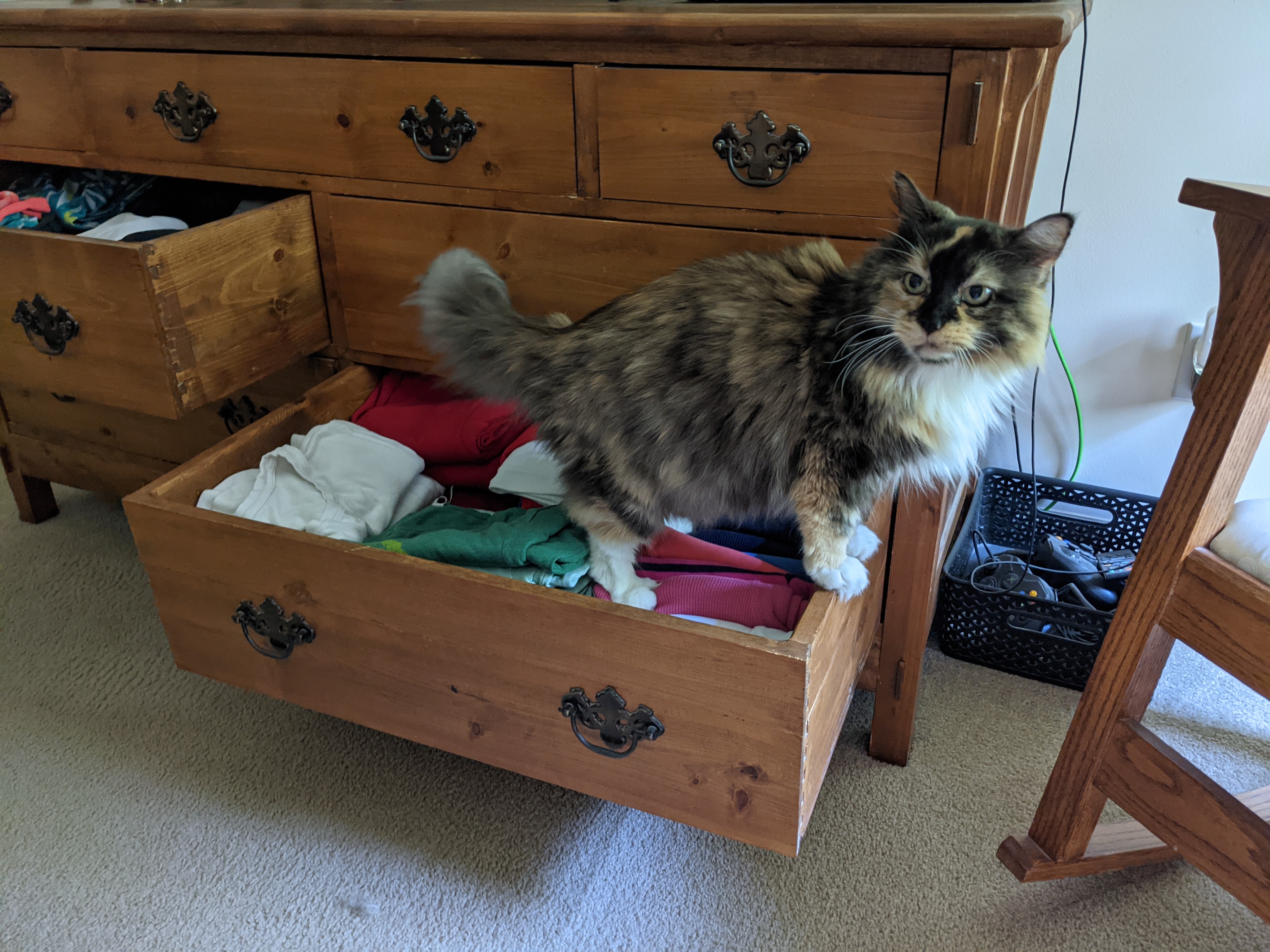 PXL 20210709 165638606