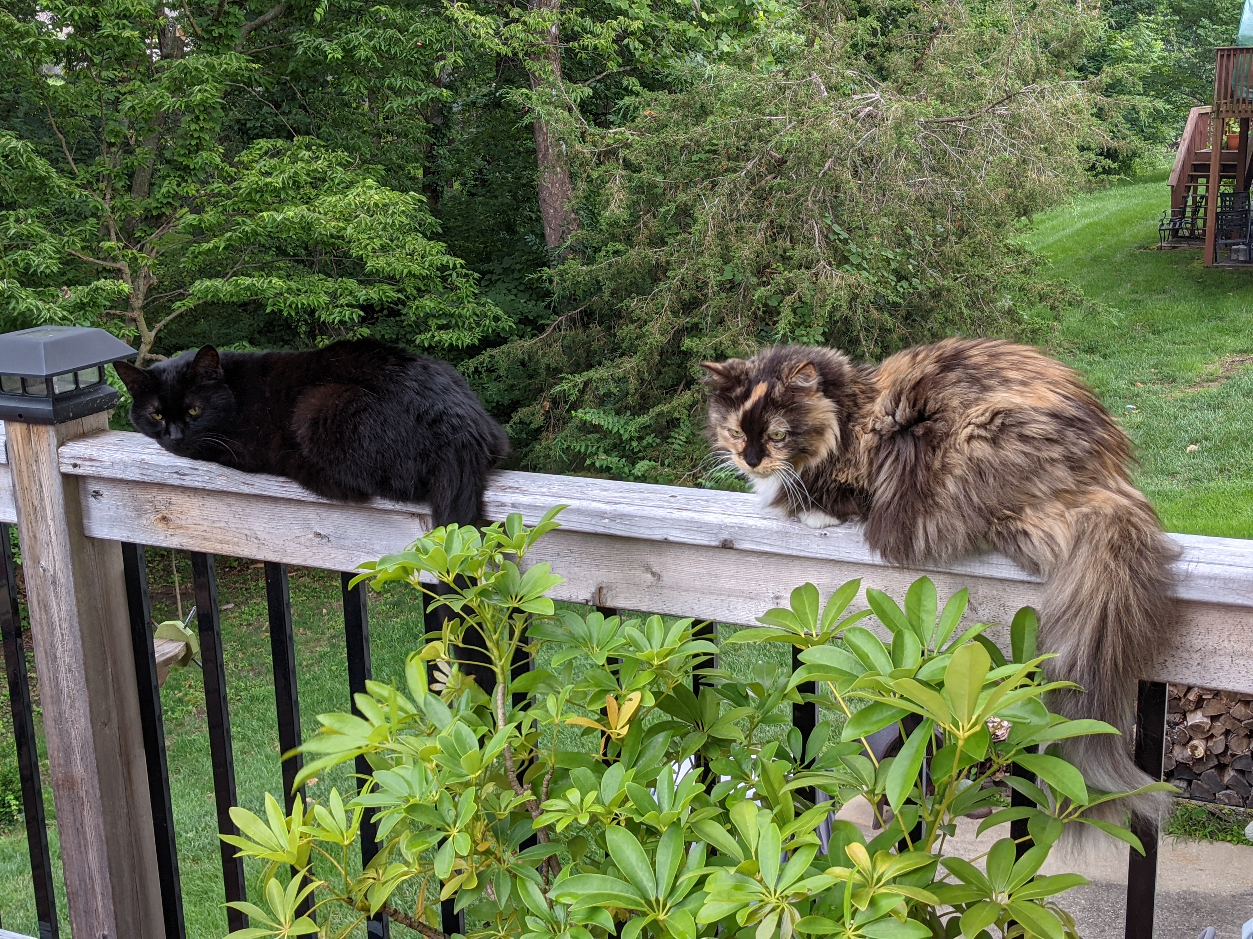 PXL 20210712 232701729