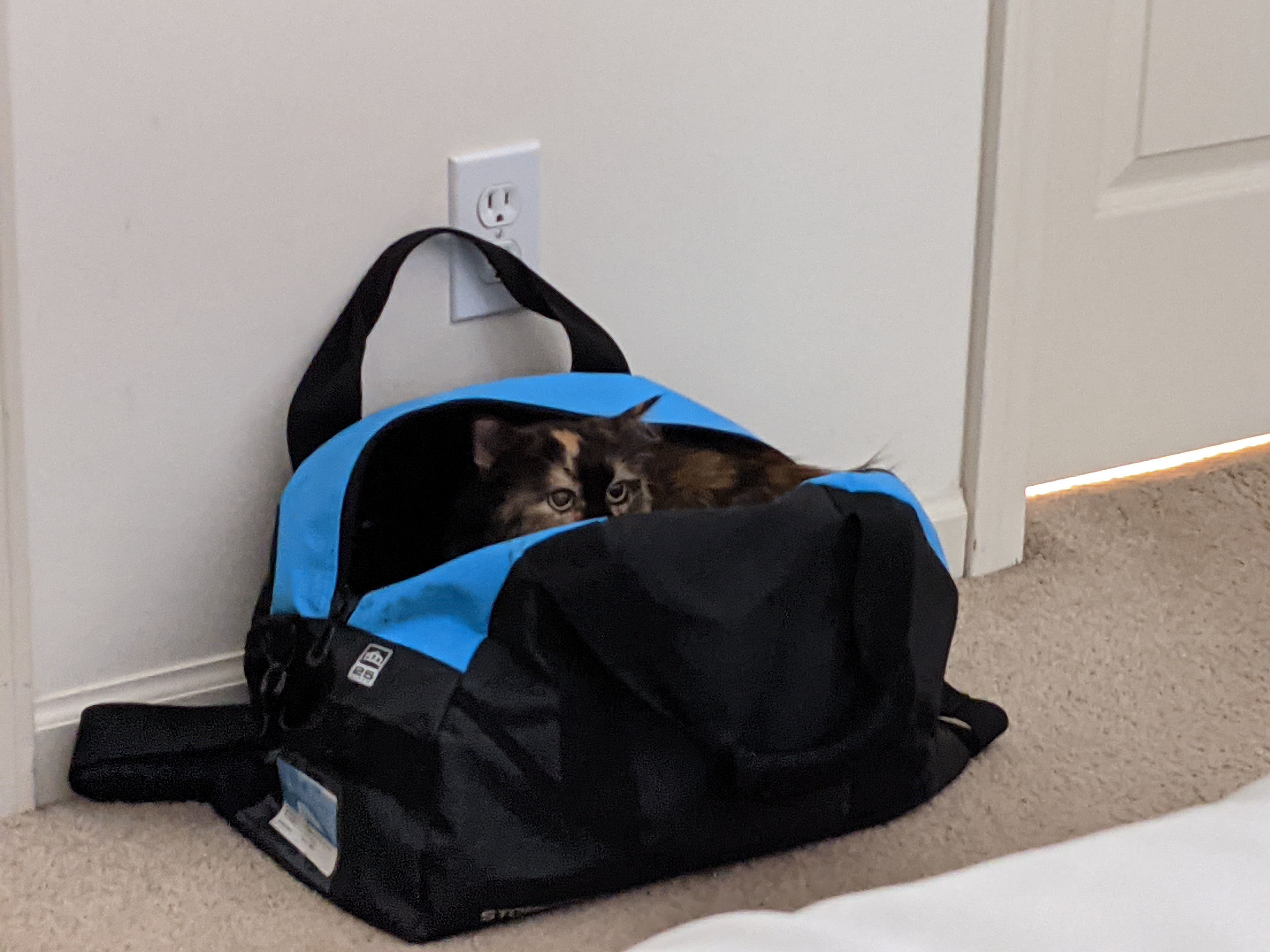 PXL 20210717 183703749