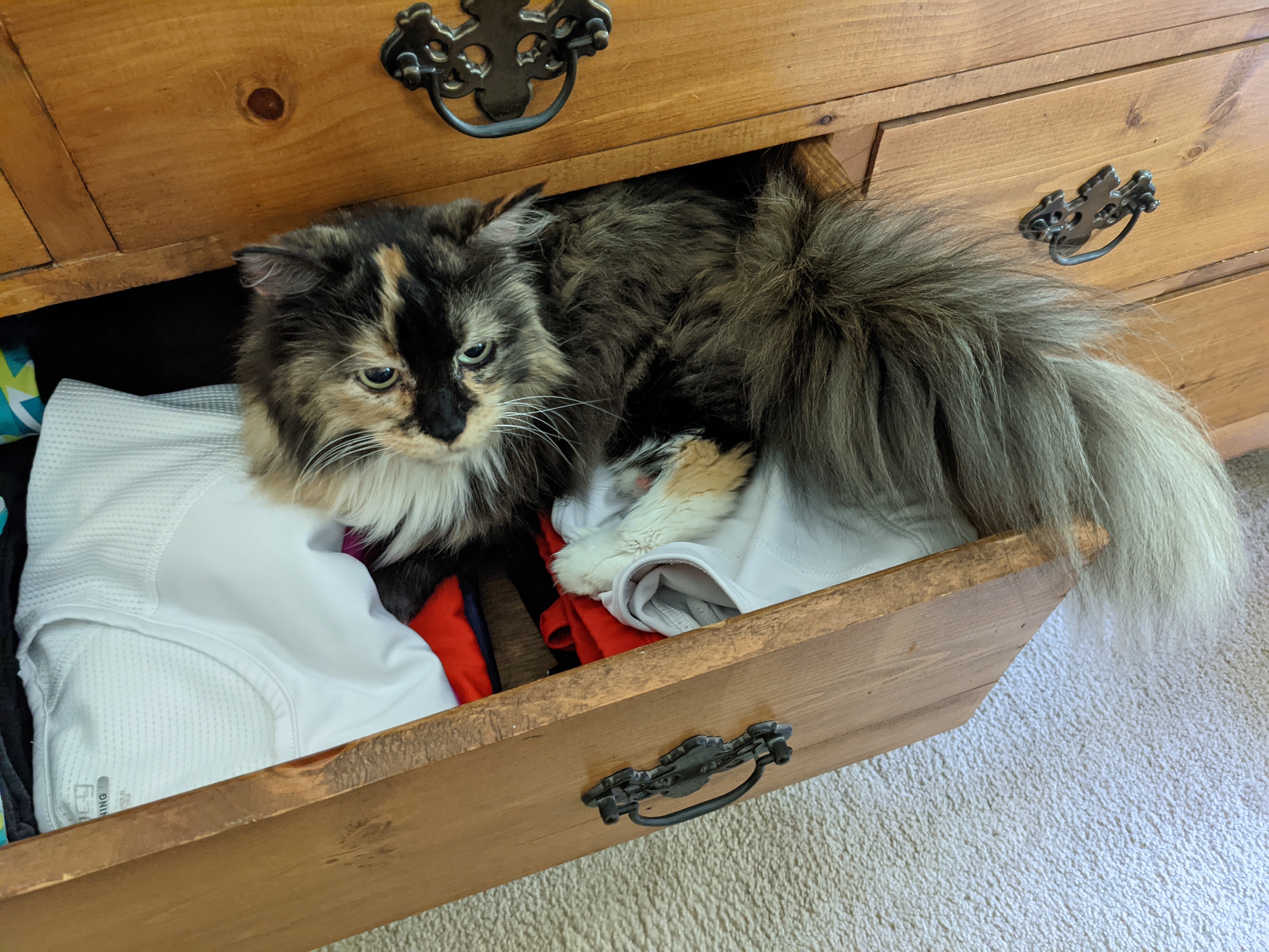 PXL 20210812 160849208