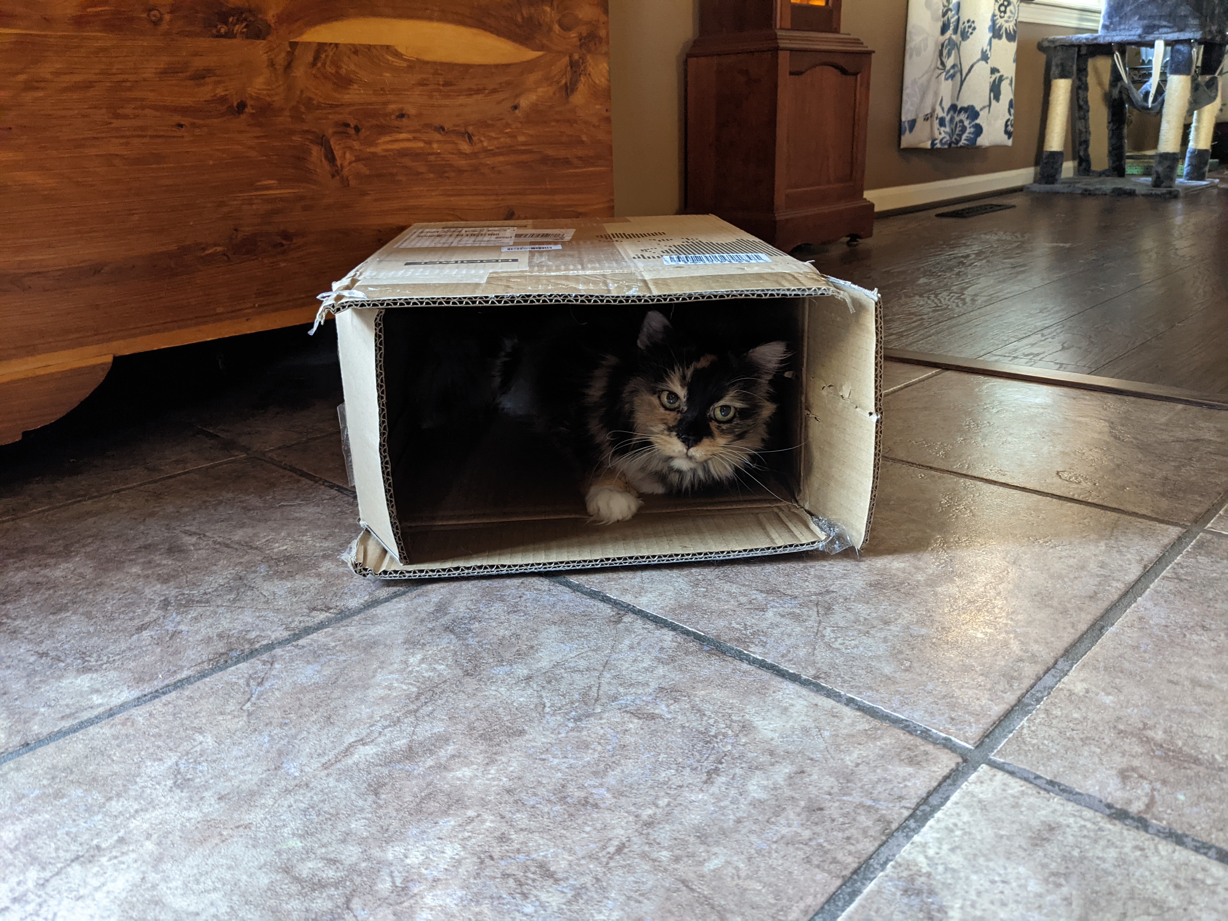 PXL 20210814 223749834