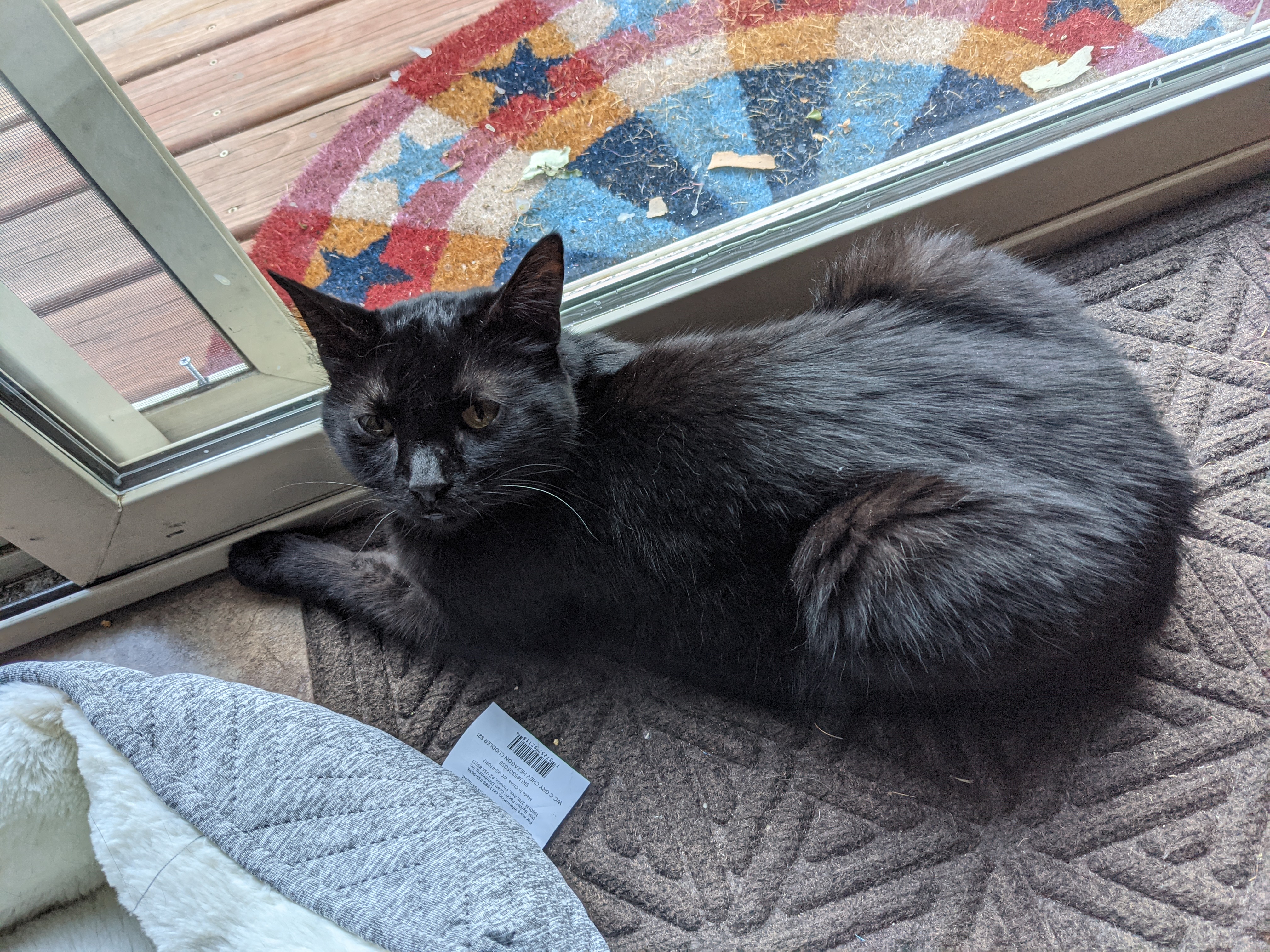 PXL 20210814 223754941