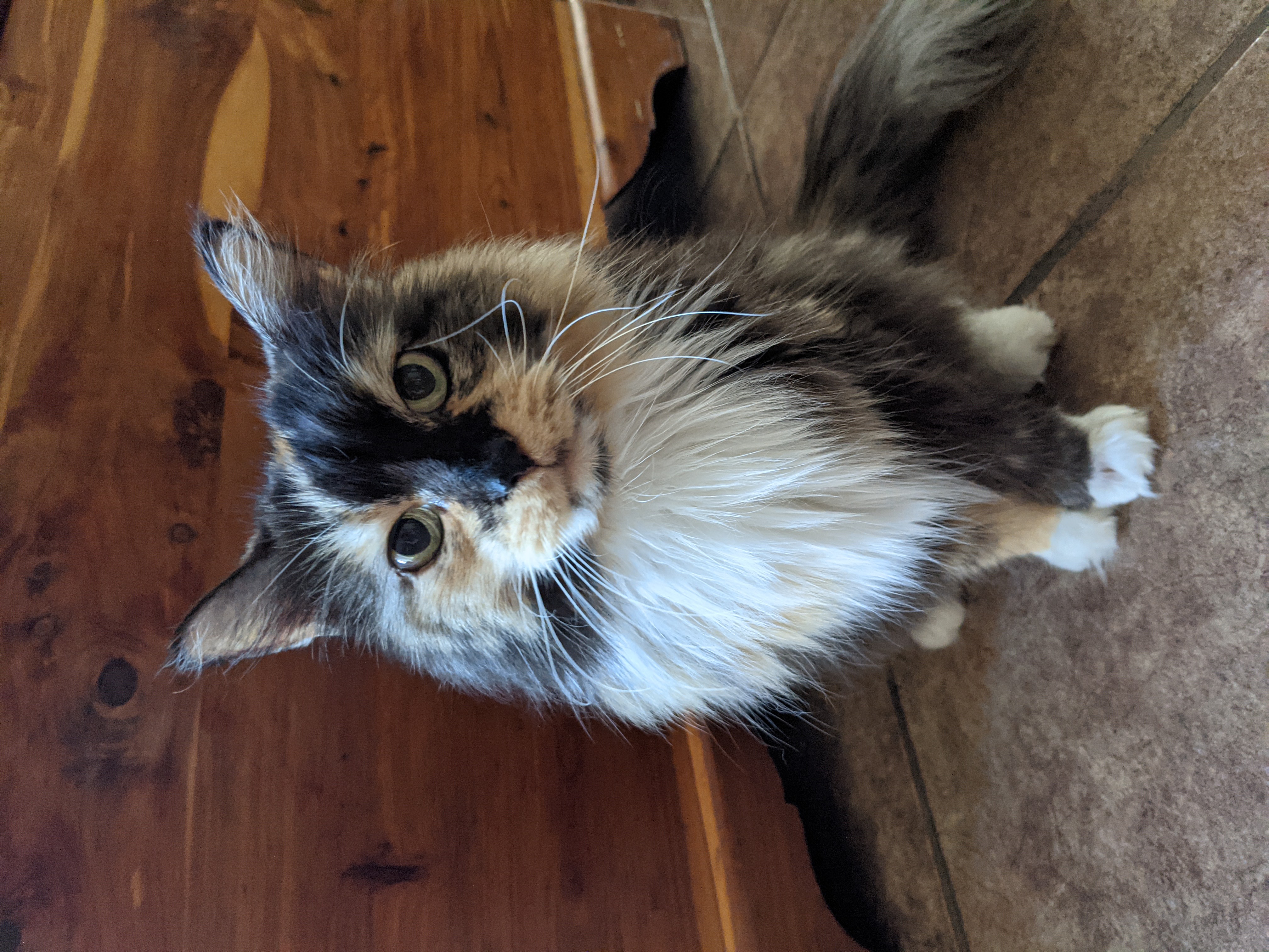 PXL 20210825 212300820