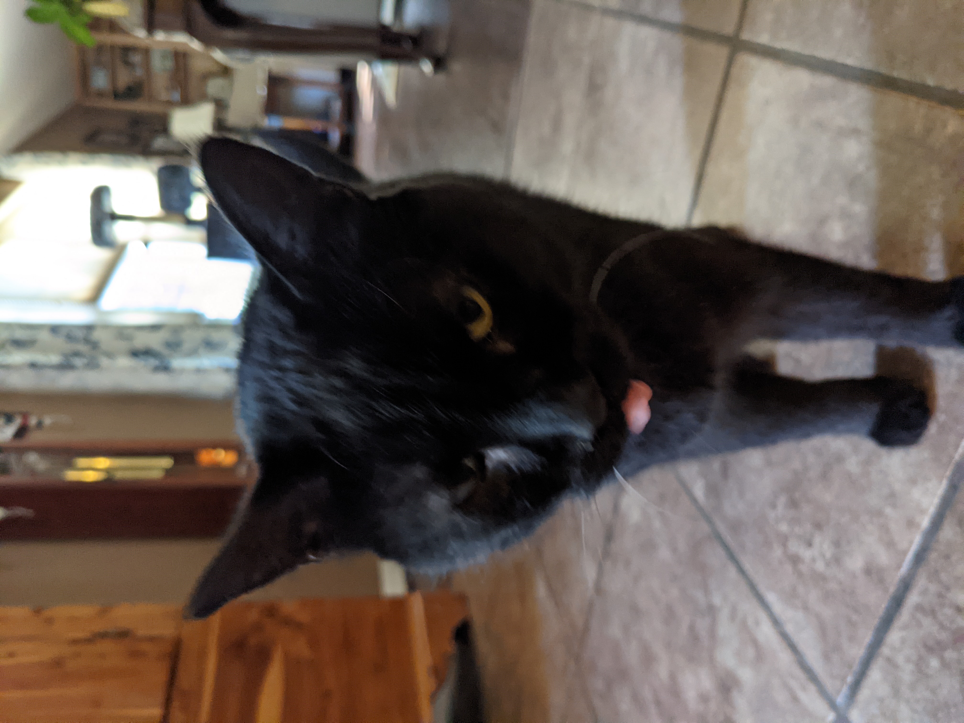 PXL 20210825 212335422