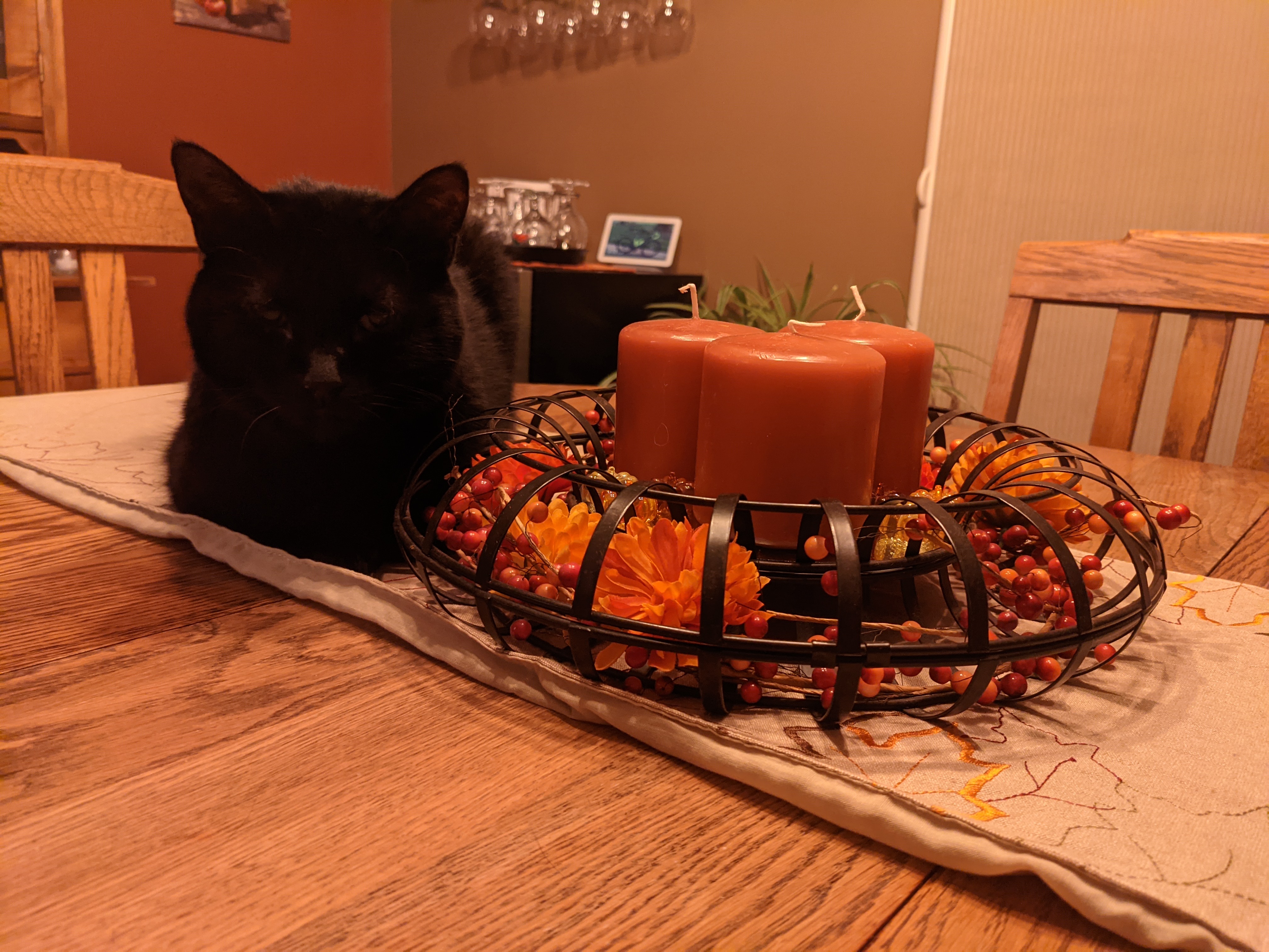 PXL 20210911 113352650