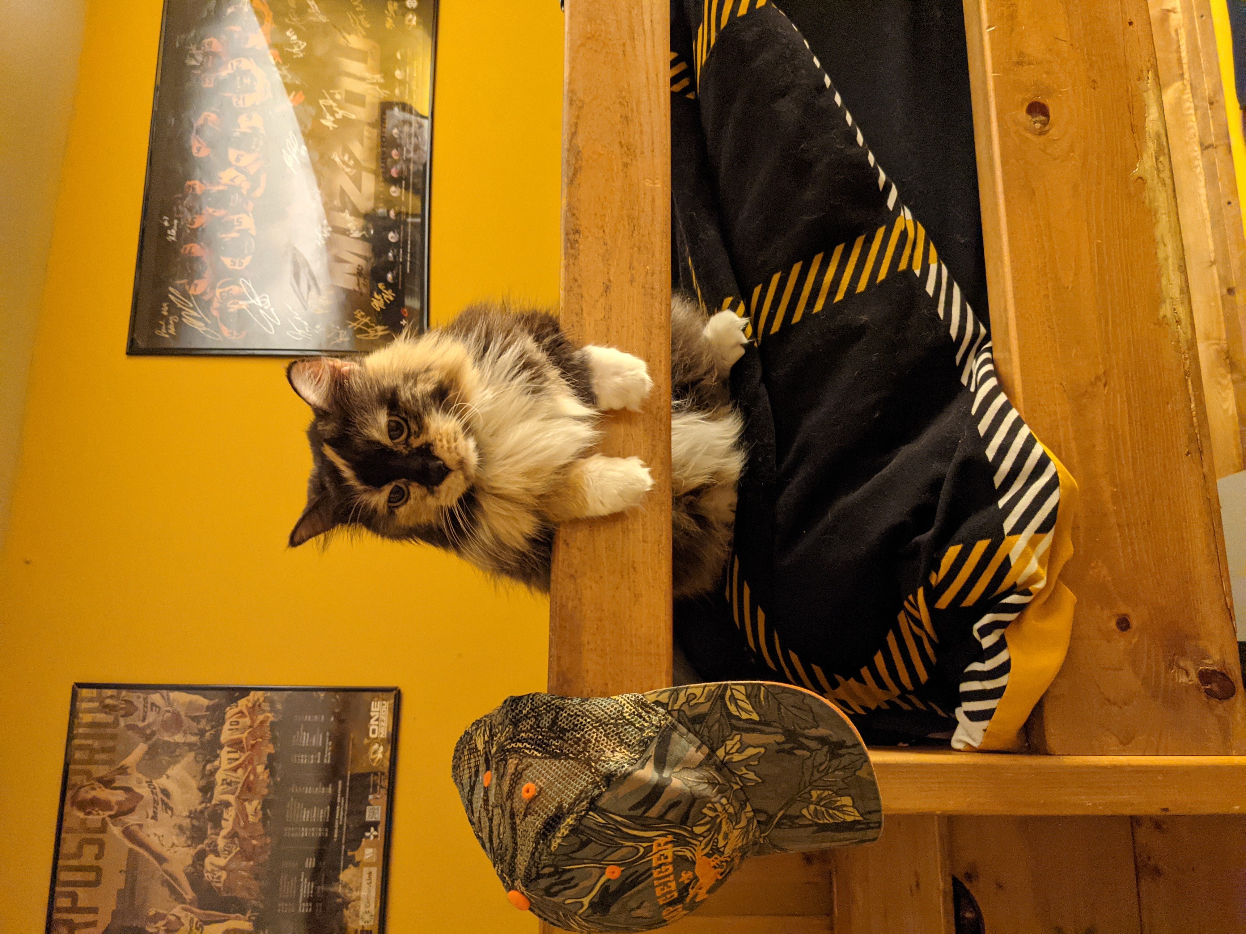 PXL 20210922 012050502