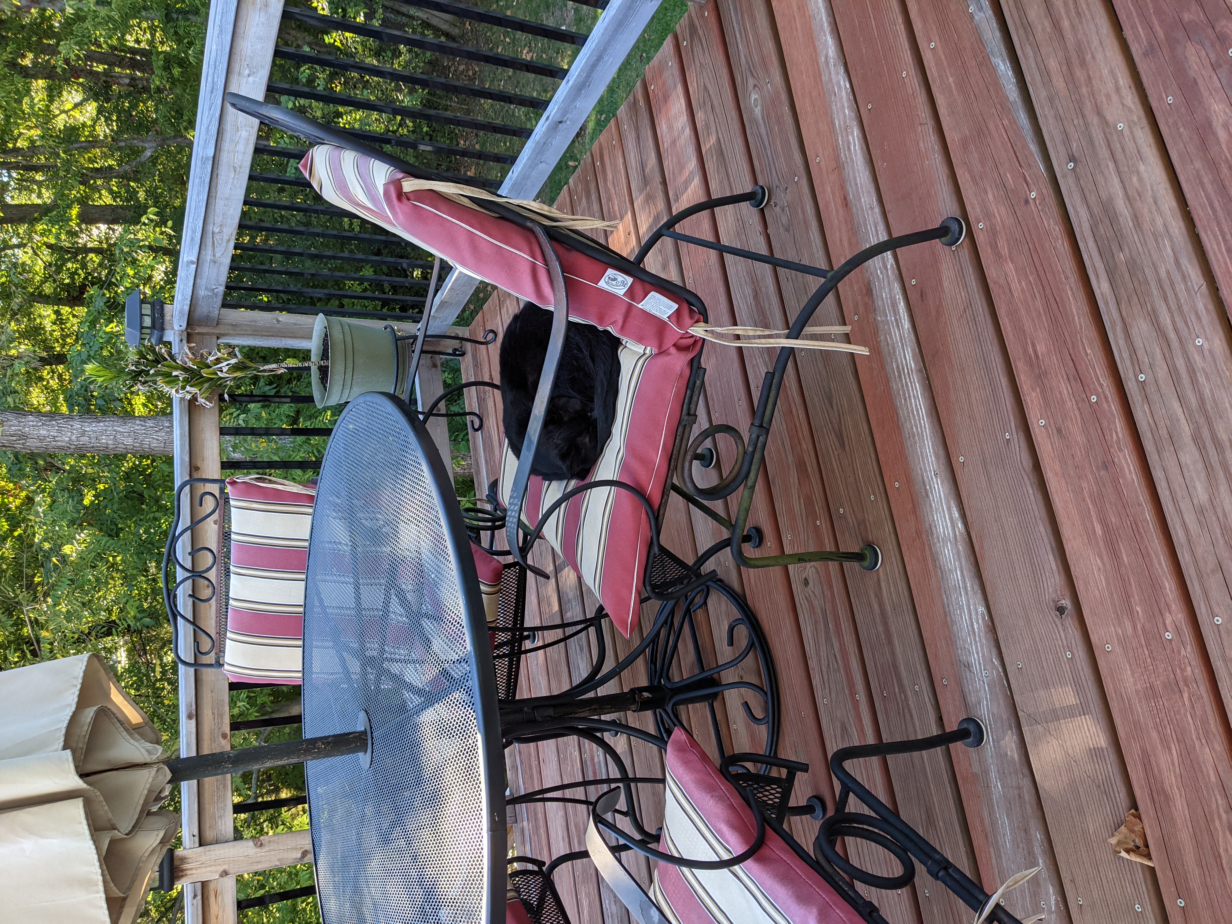 PXL 20210923 214652729