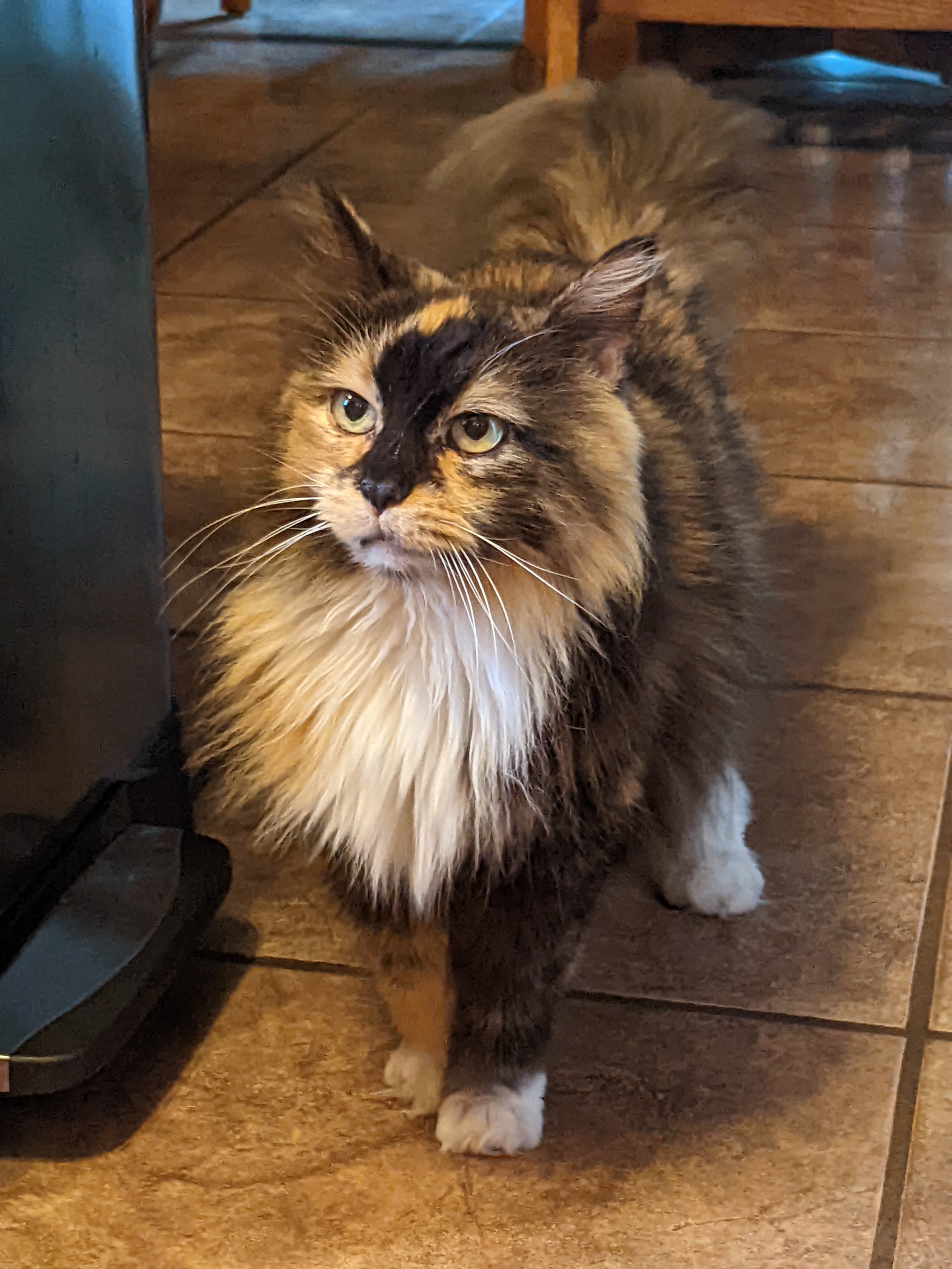 PXL 20220604 002937625