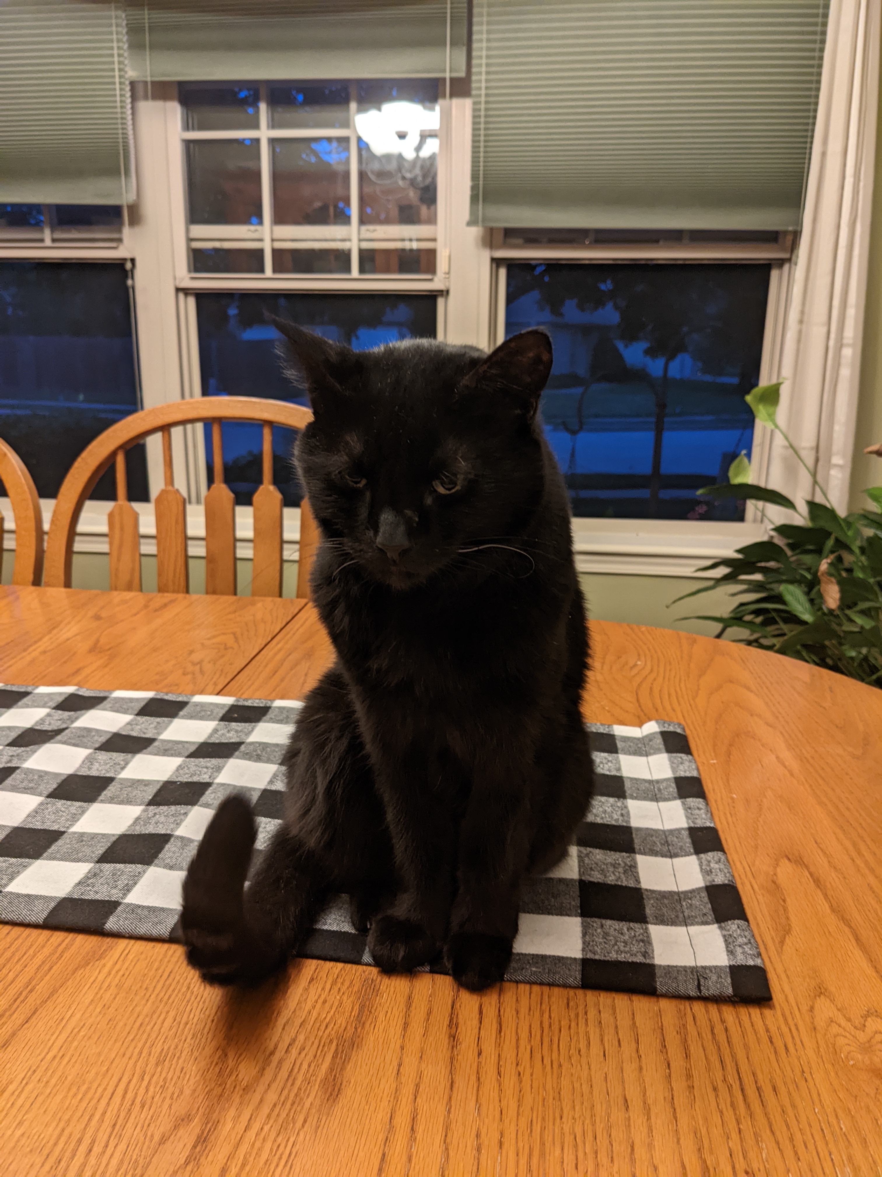 PXL 20220604 015107209