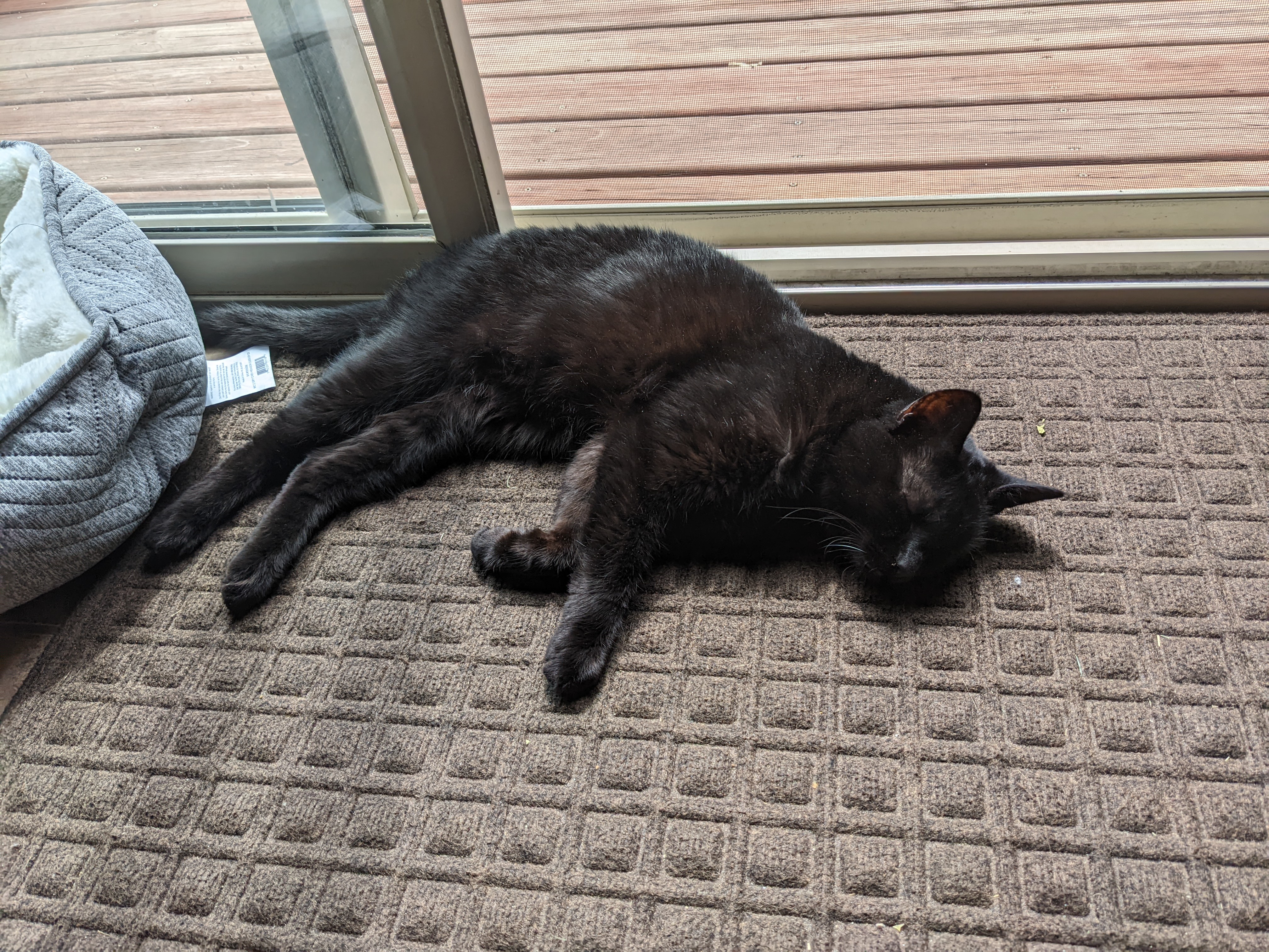 PXL 20220604 201036461