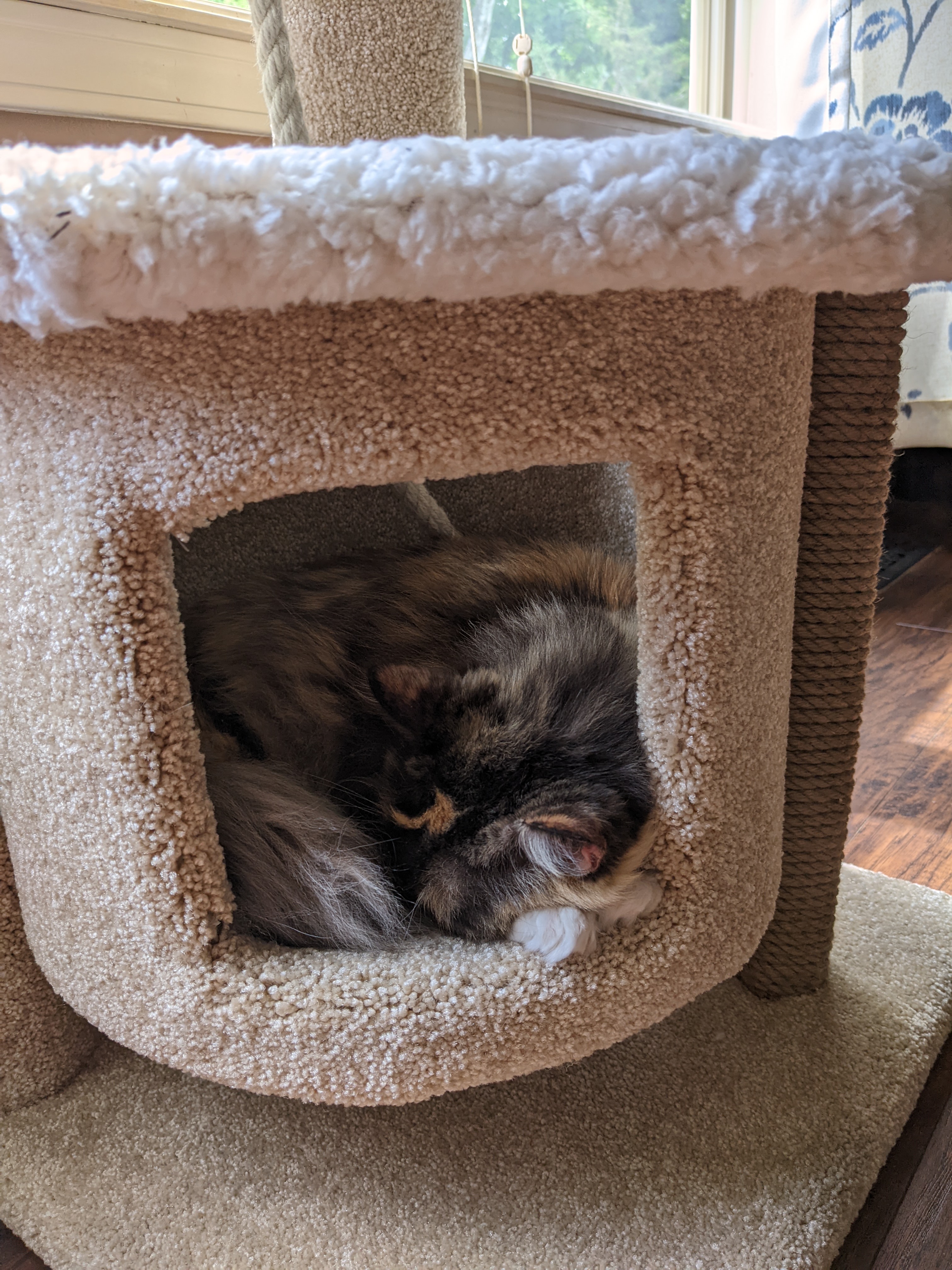 PXL 20220604 201046894