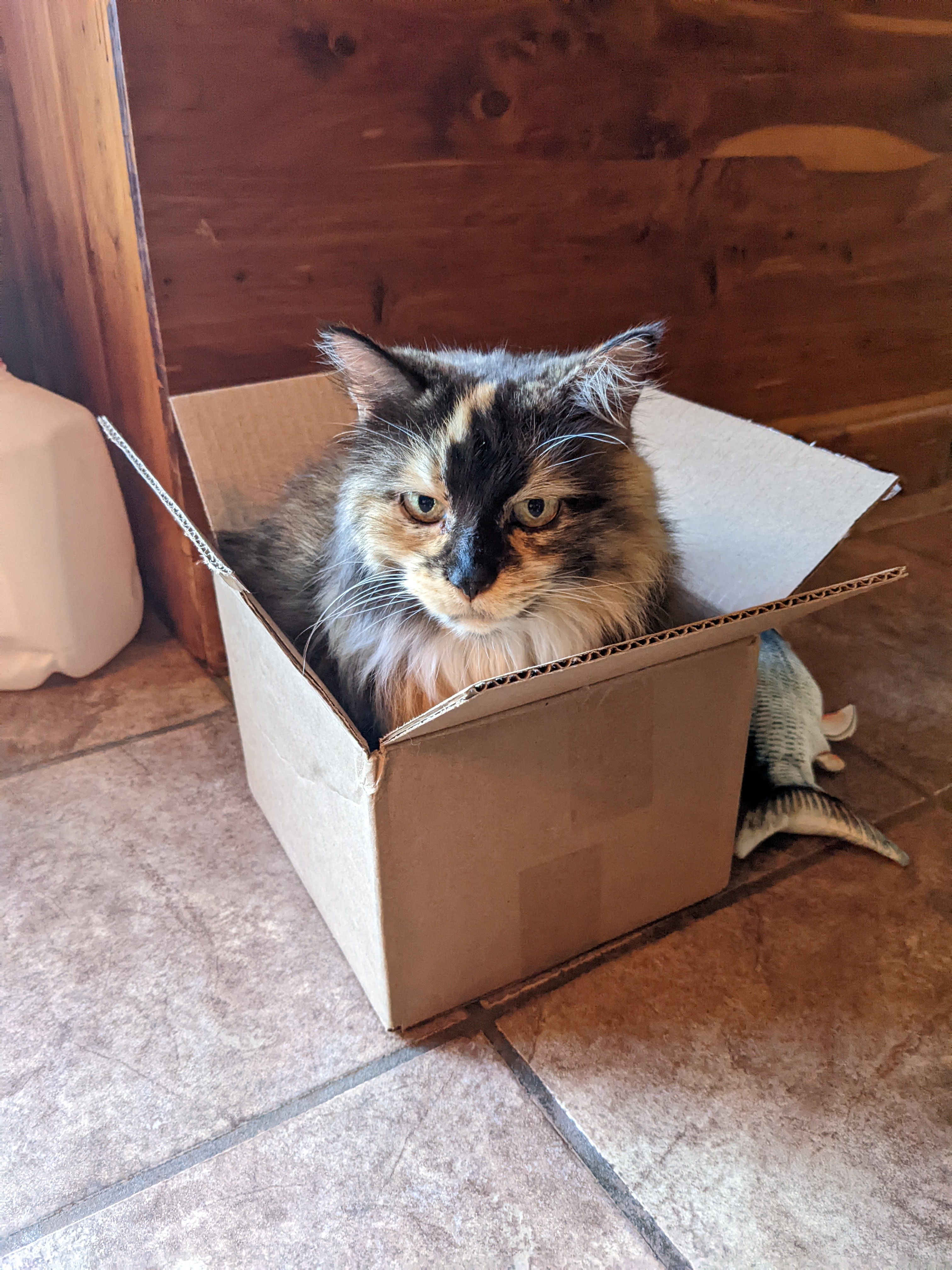 PXL 20220606 225027012