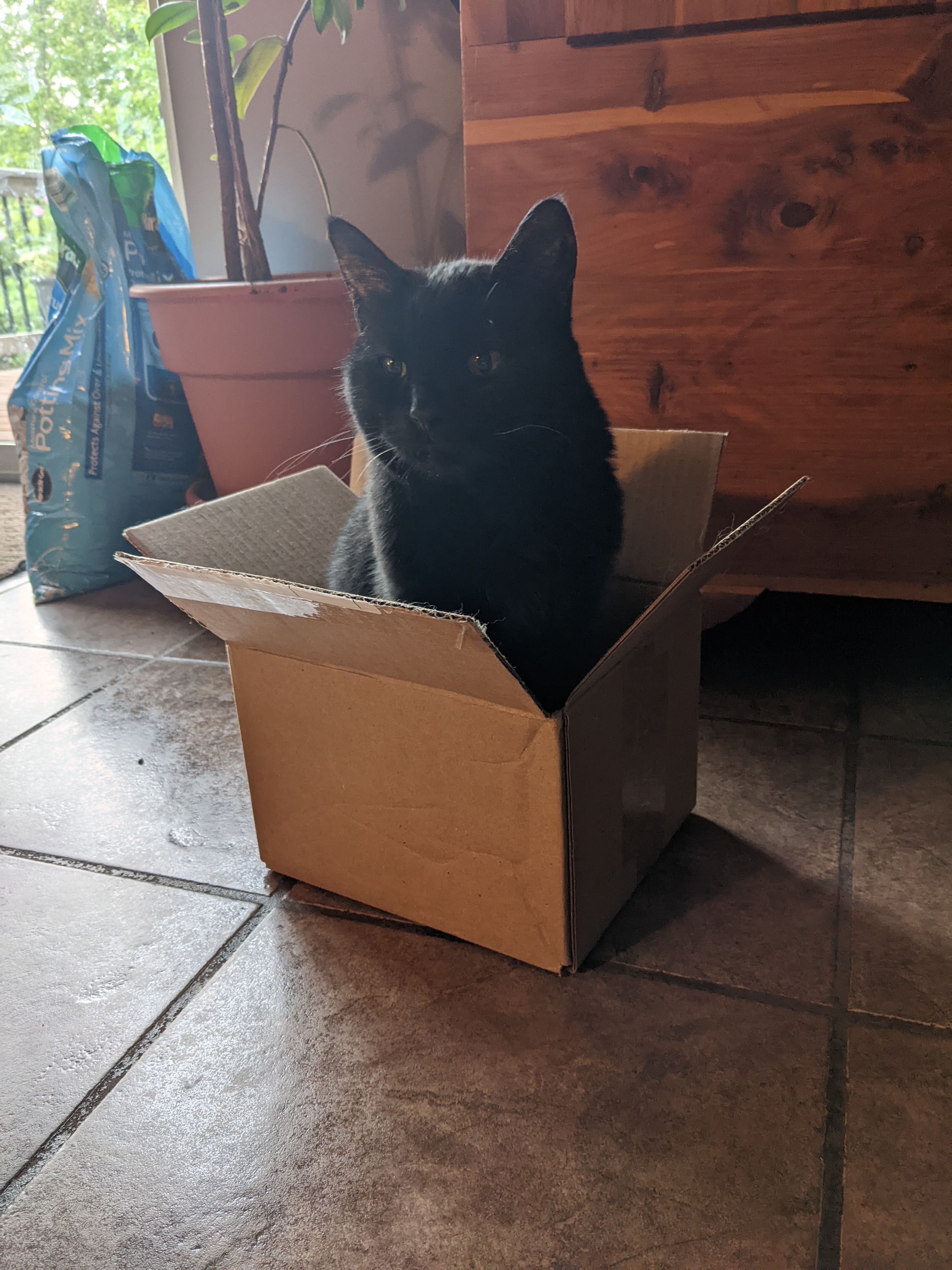 PXL 20220606 235211780