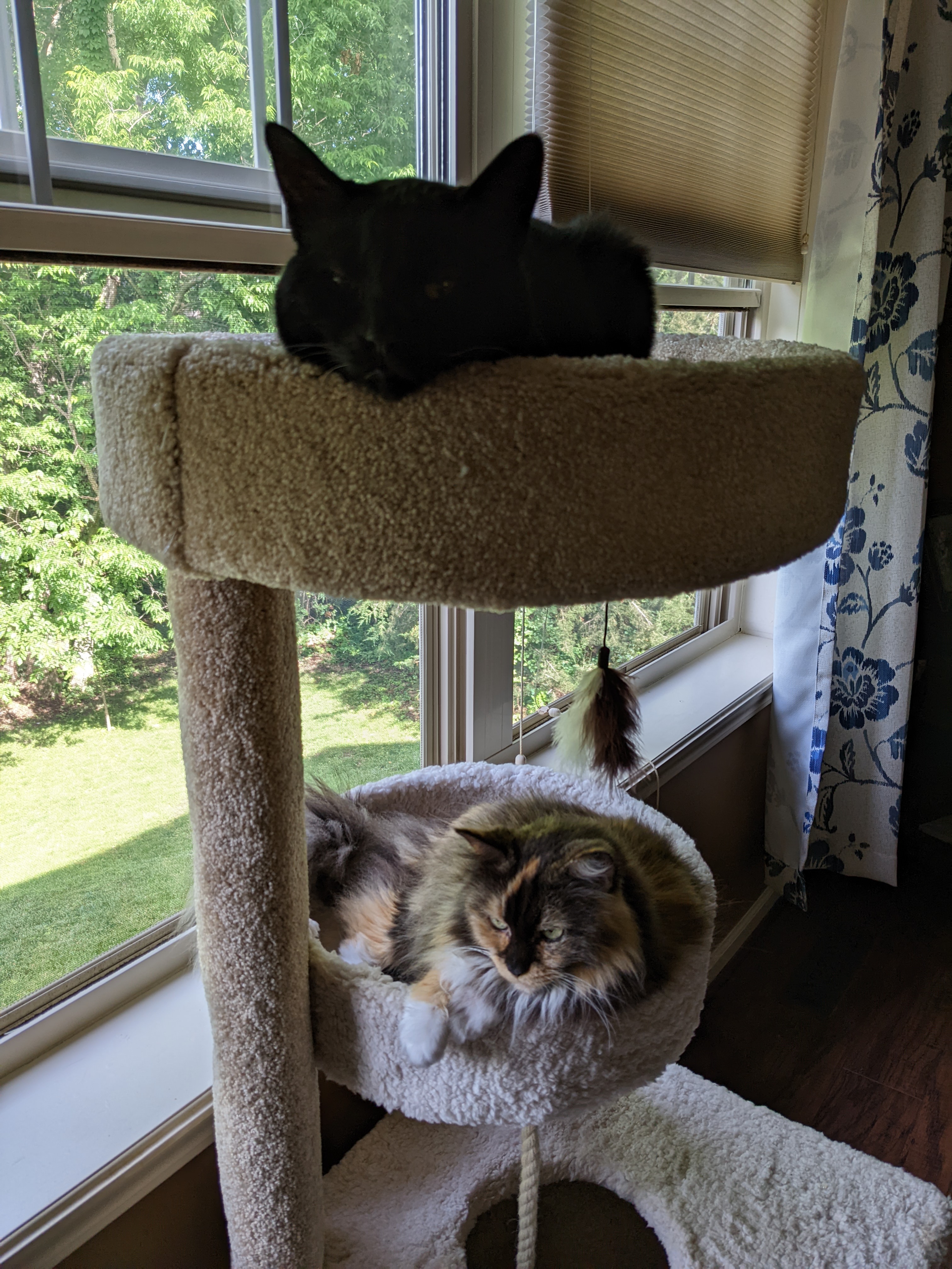 PXL 20220610 145855140