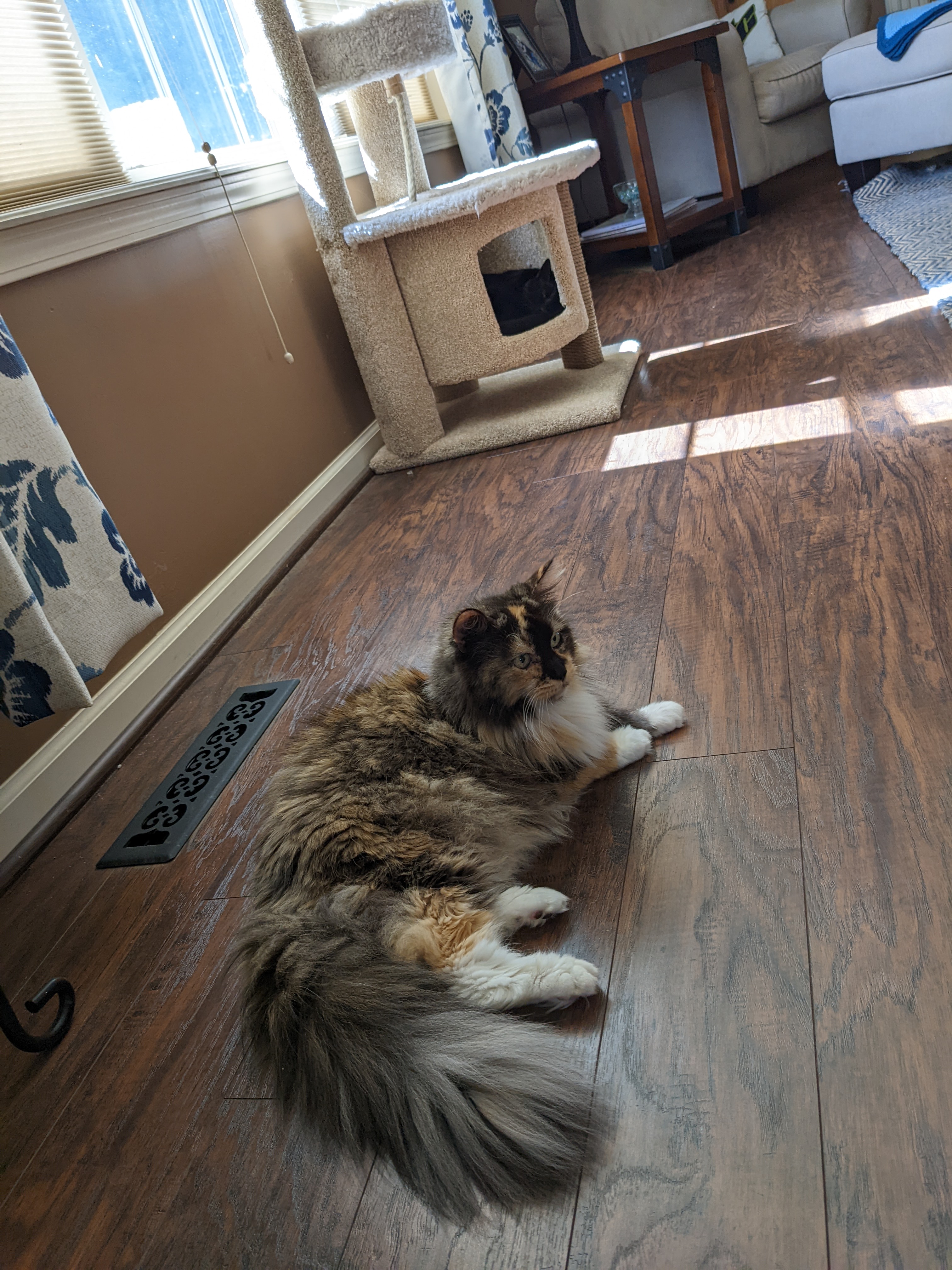 PXL 20220613 210500087