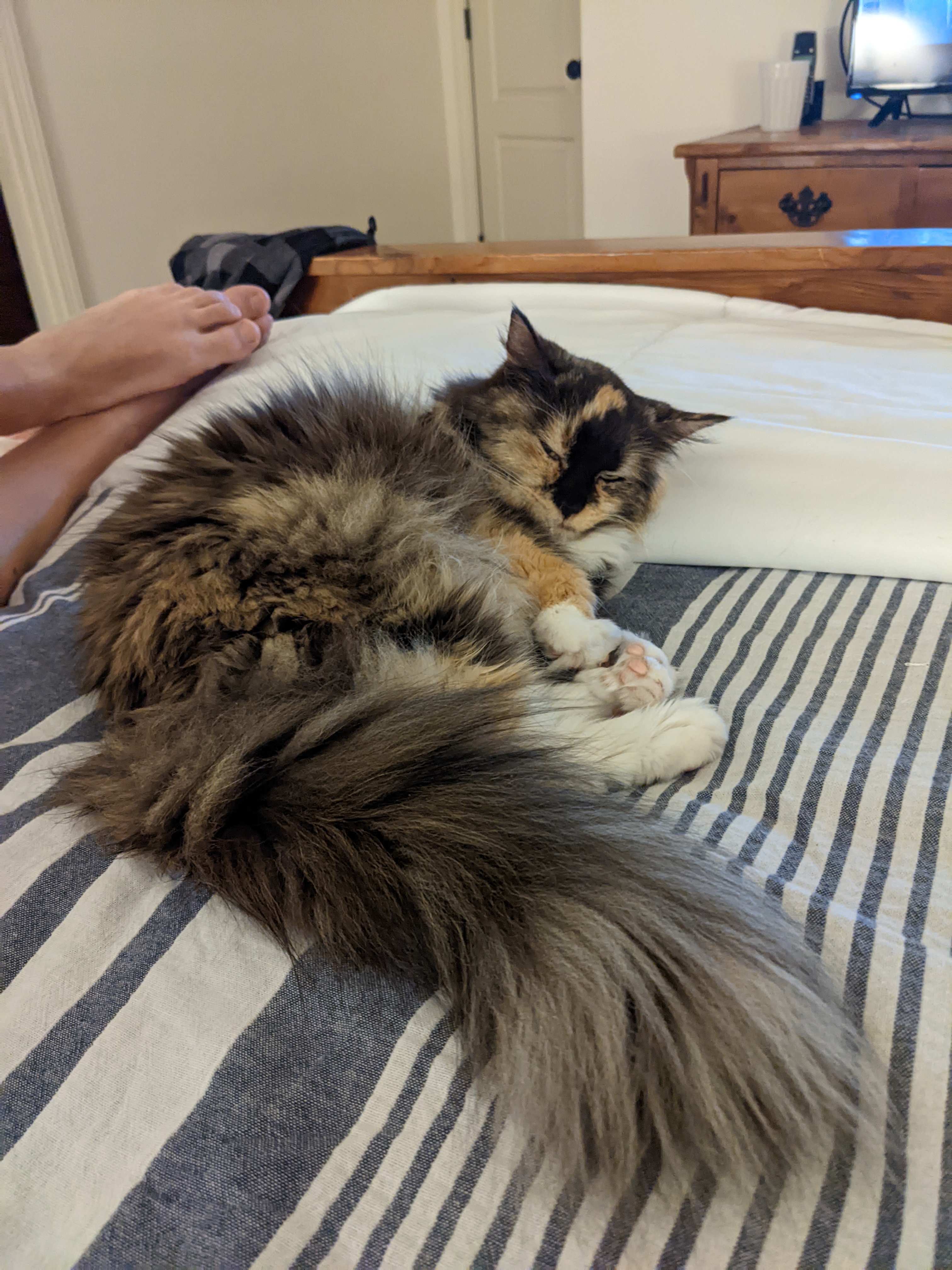 PXL 20220617 023125127