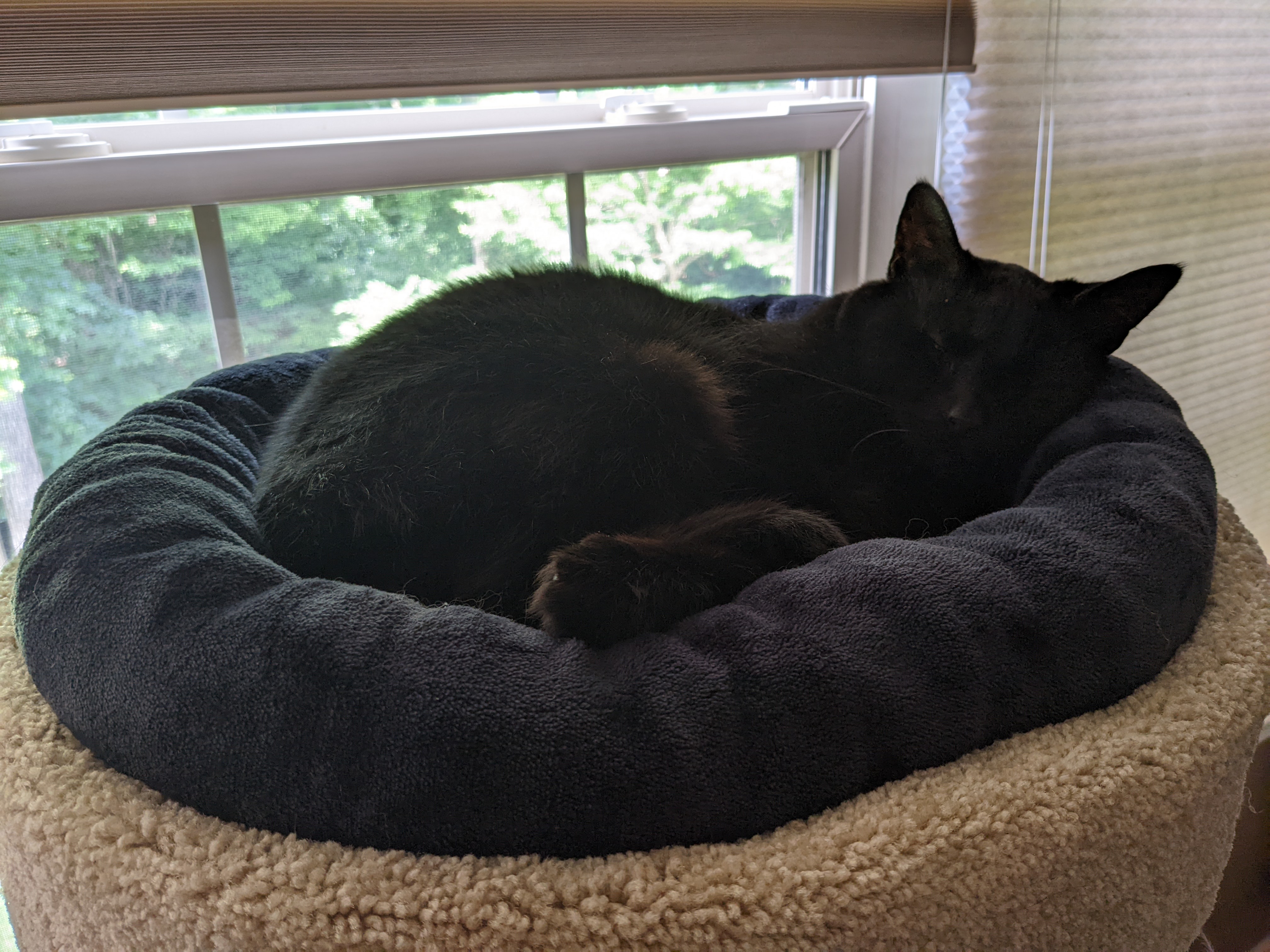 PXL 20220617 152627997