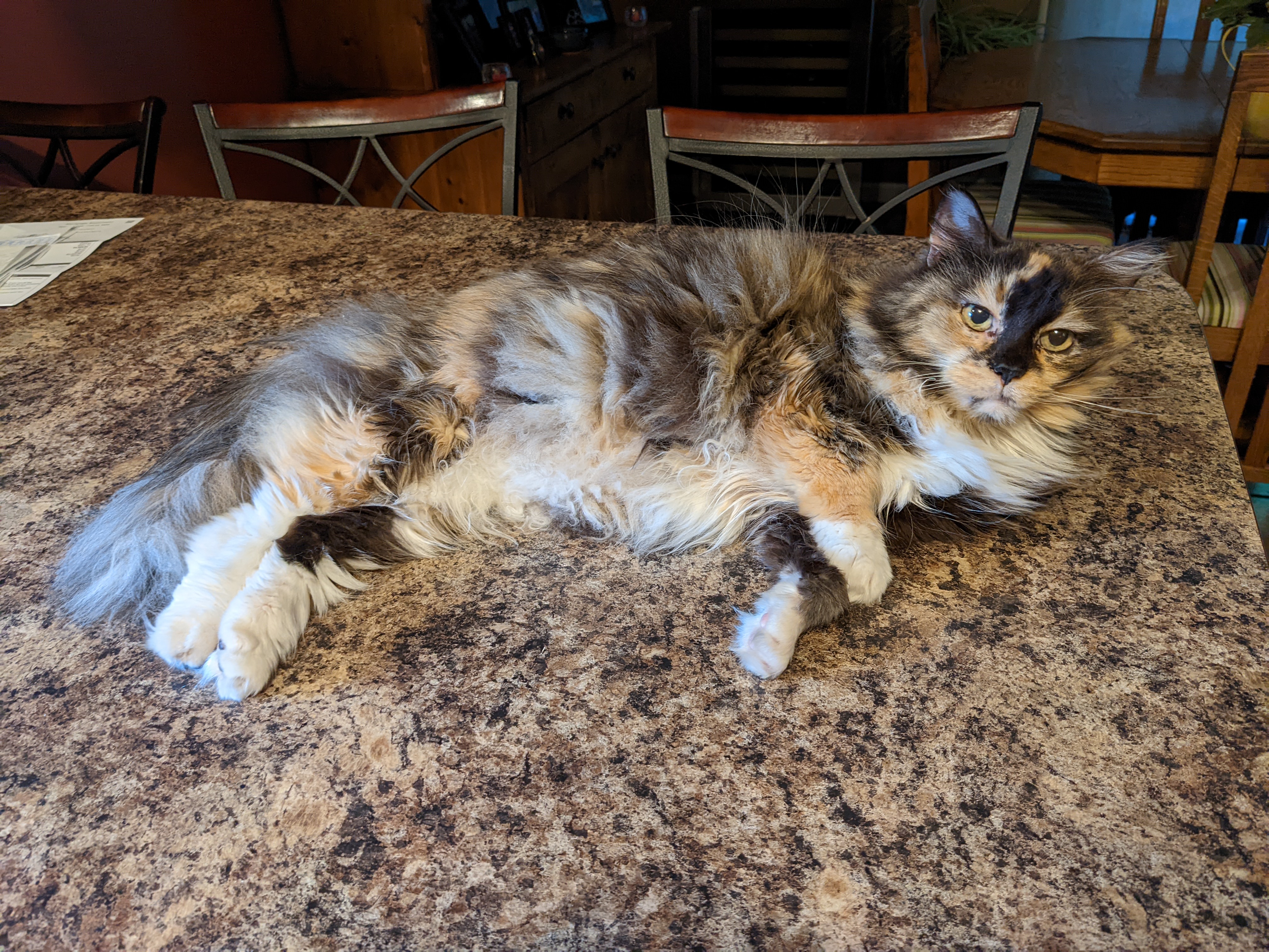 PXL 20220622 115455102