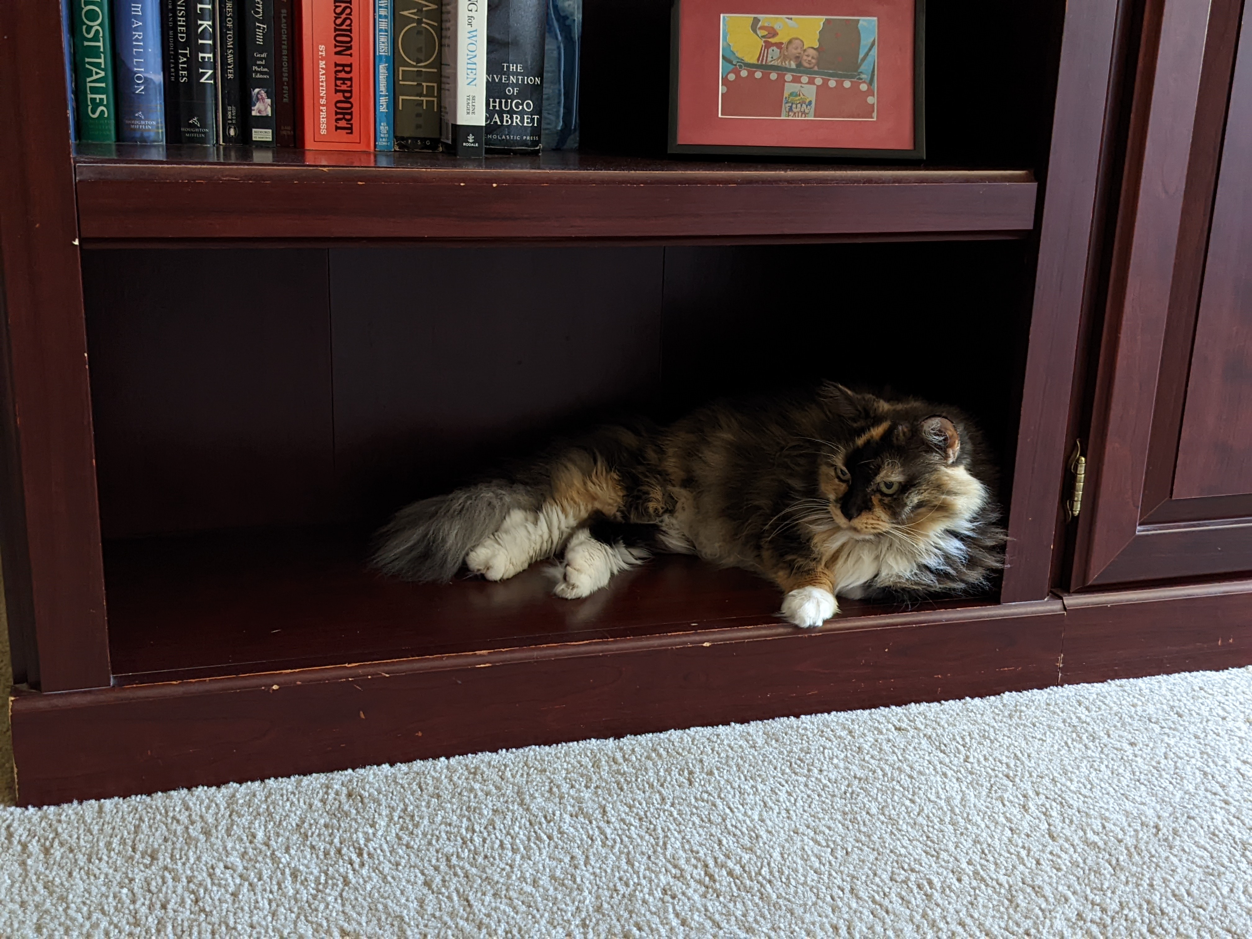 PXL 20220622 194859612