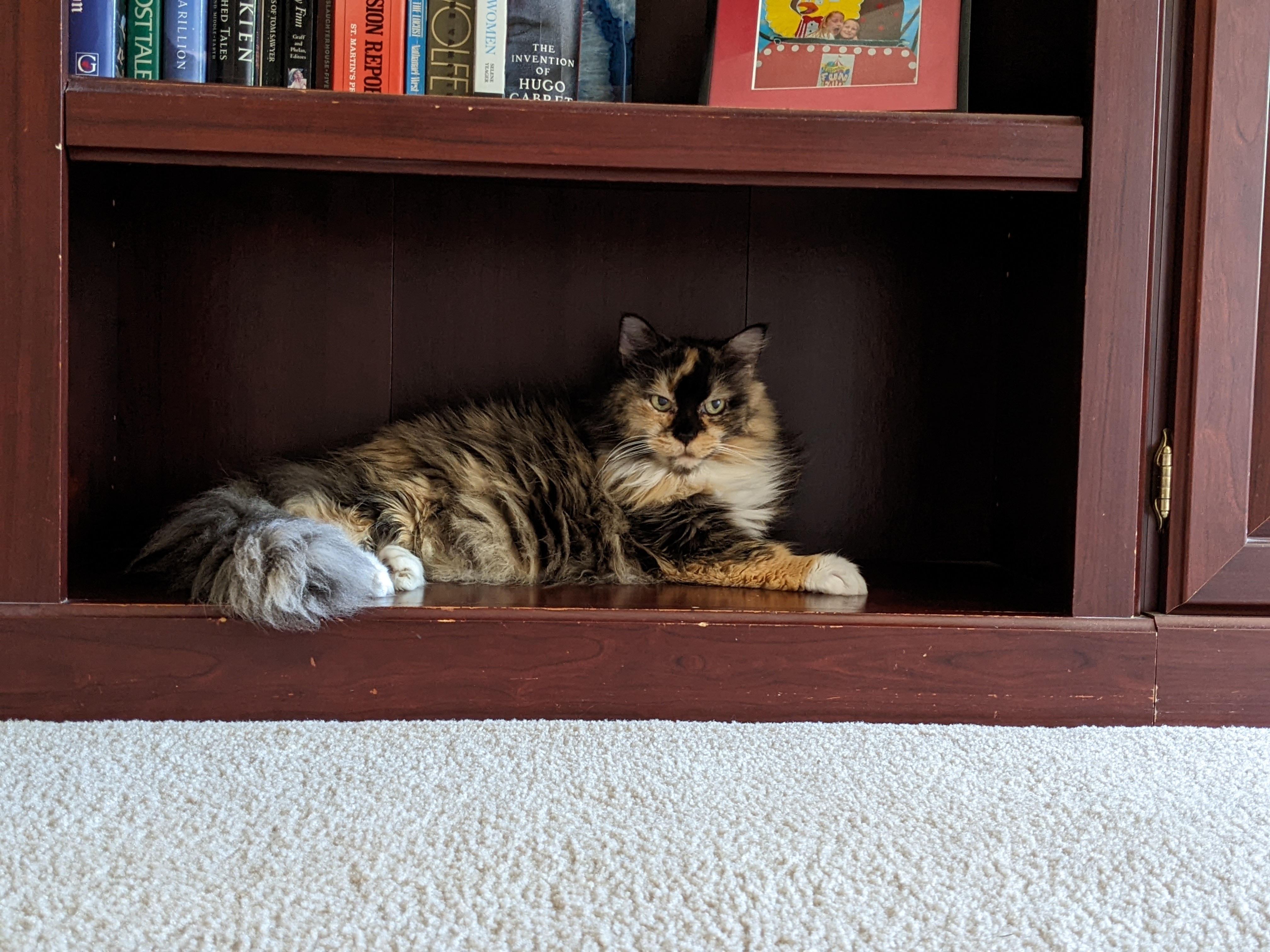 PXL 20220622 215248359