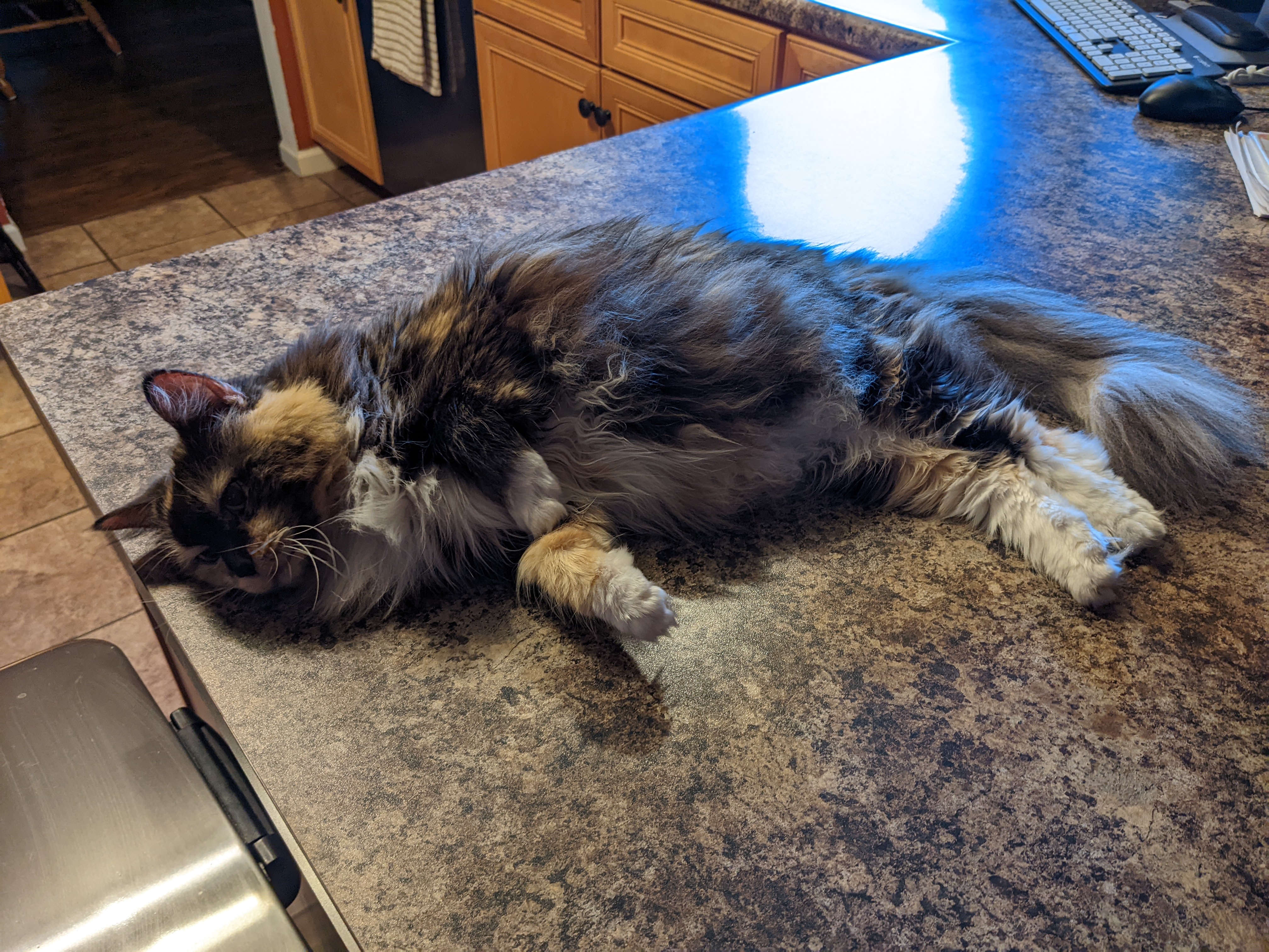 PXL 20220701 002711742