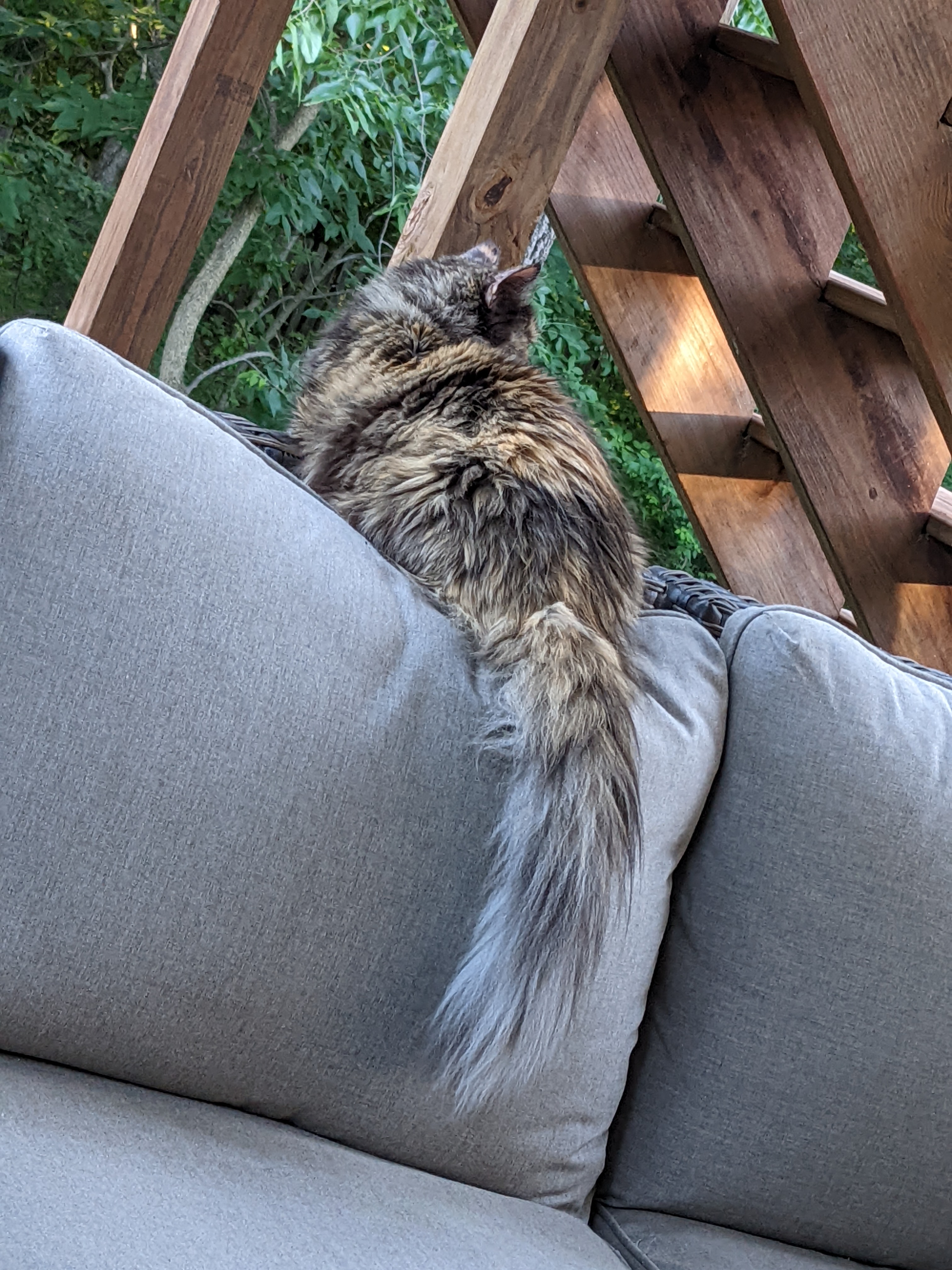 PXL 20220701 003932850