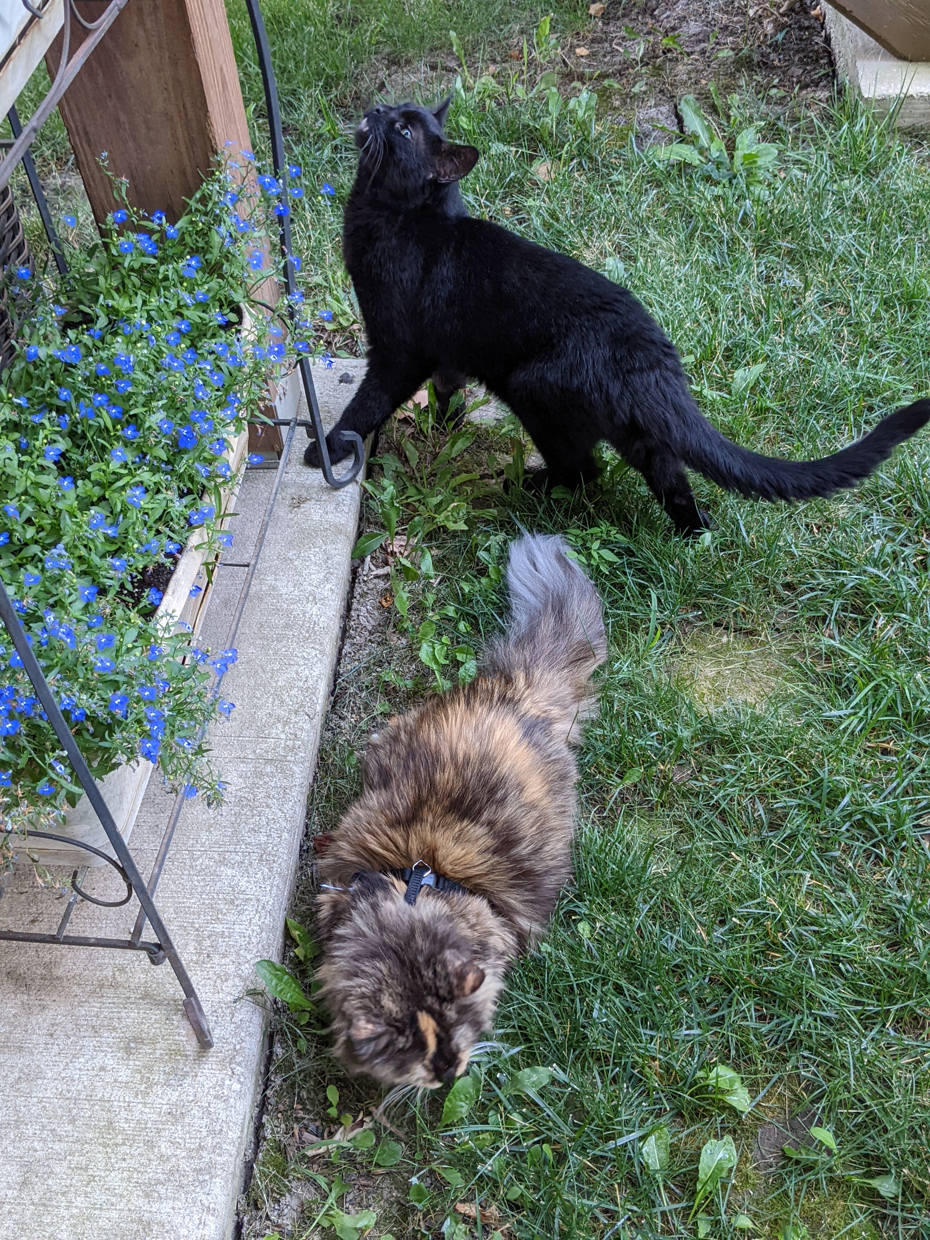 PXL 20220712 235225967