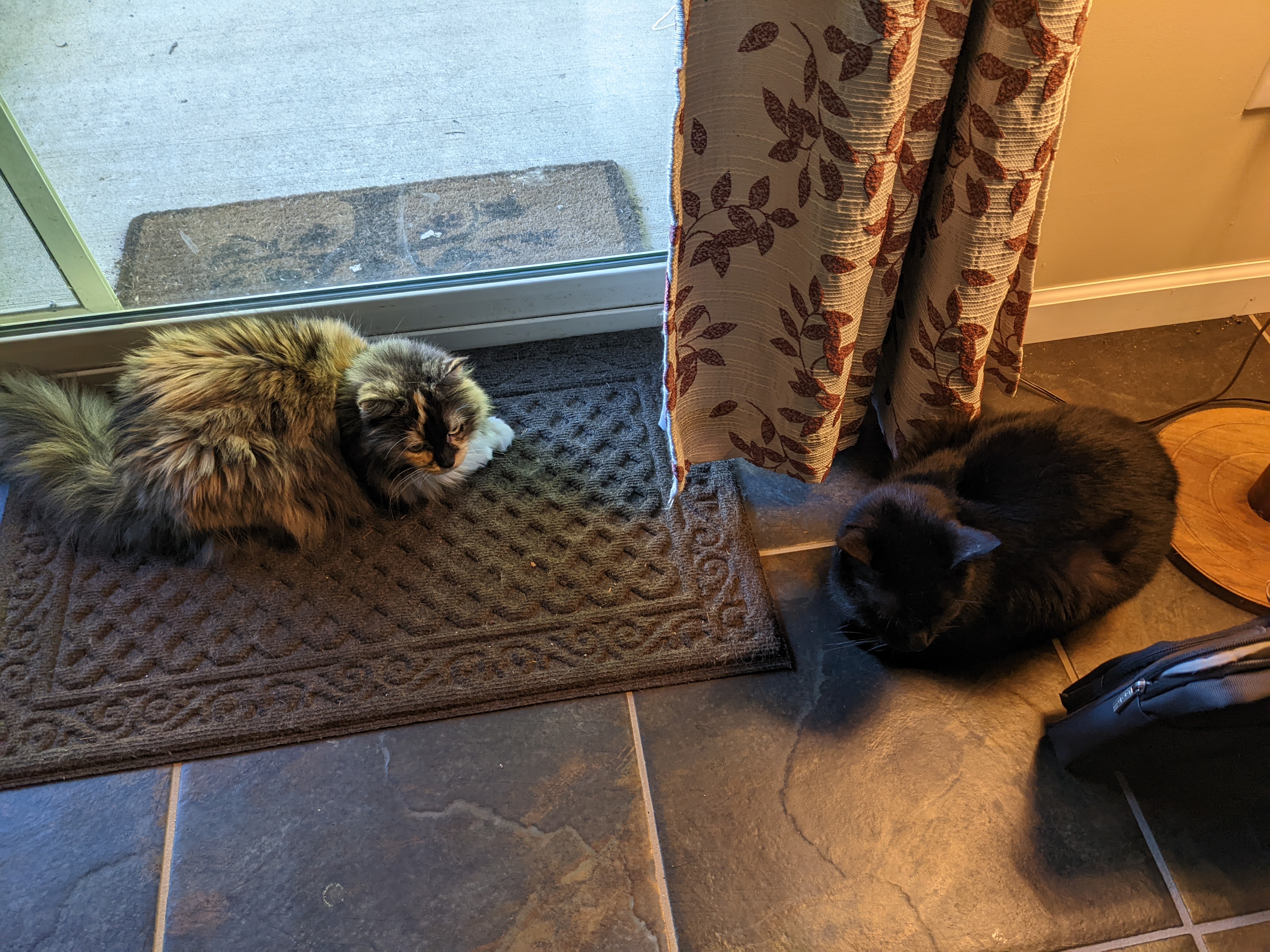 PXL 20220811 134606616