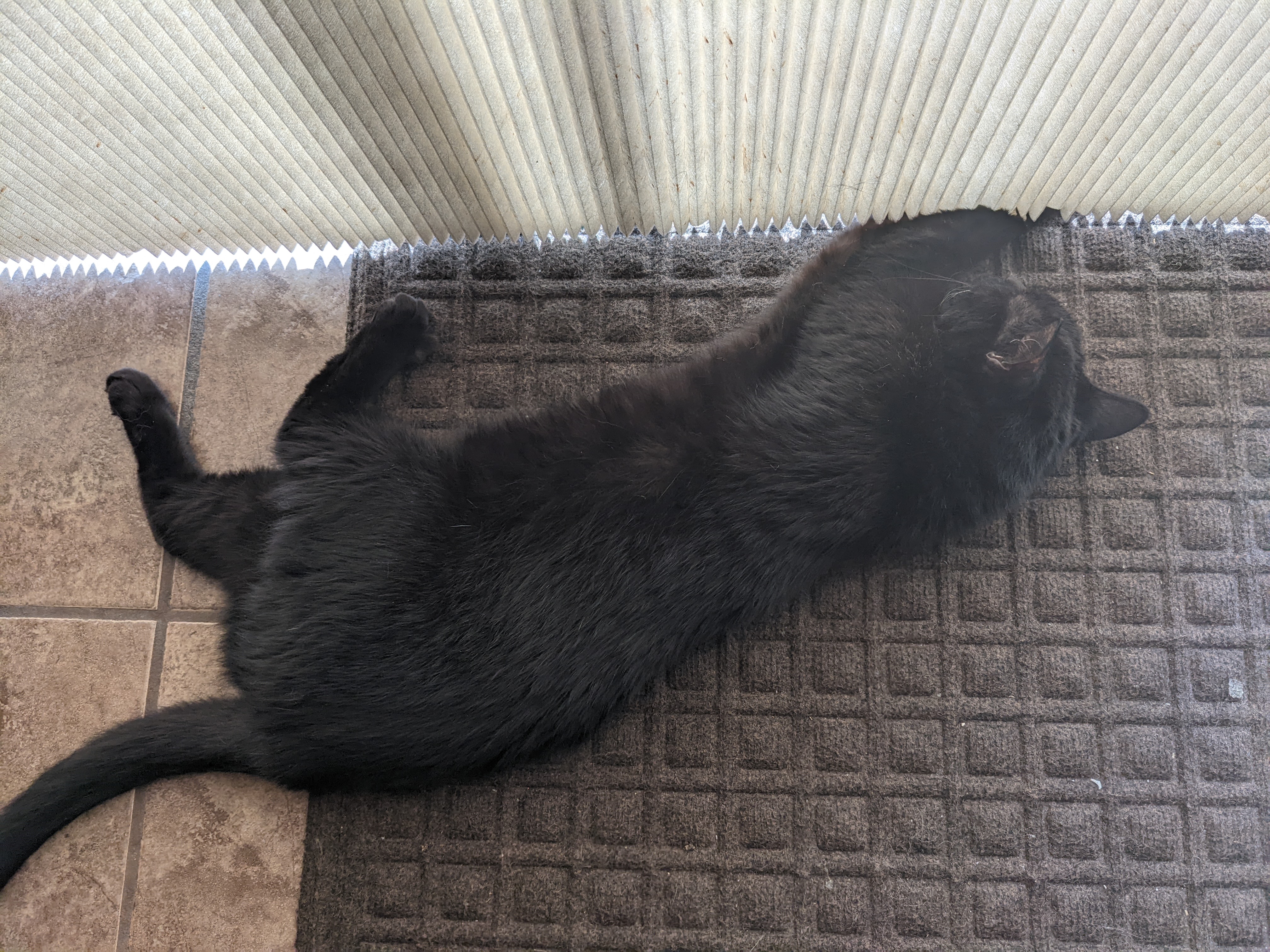 PXL 20220812 203504653