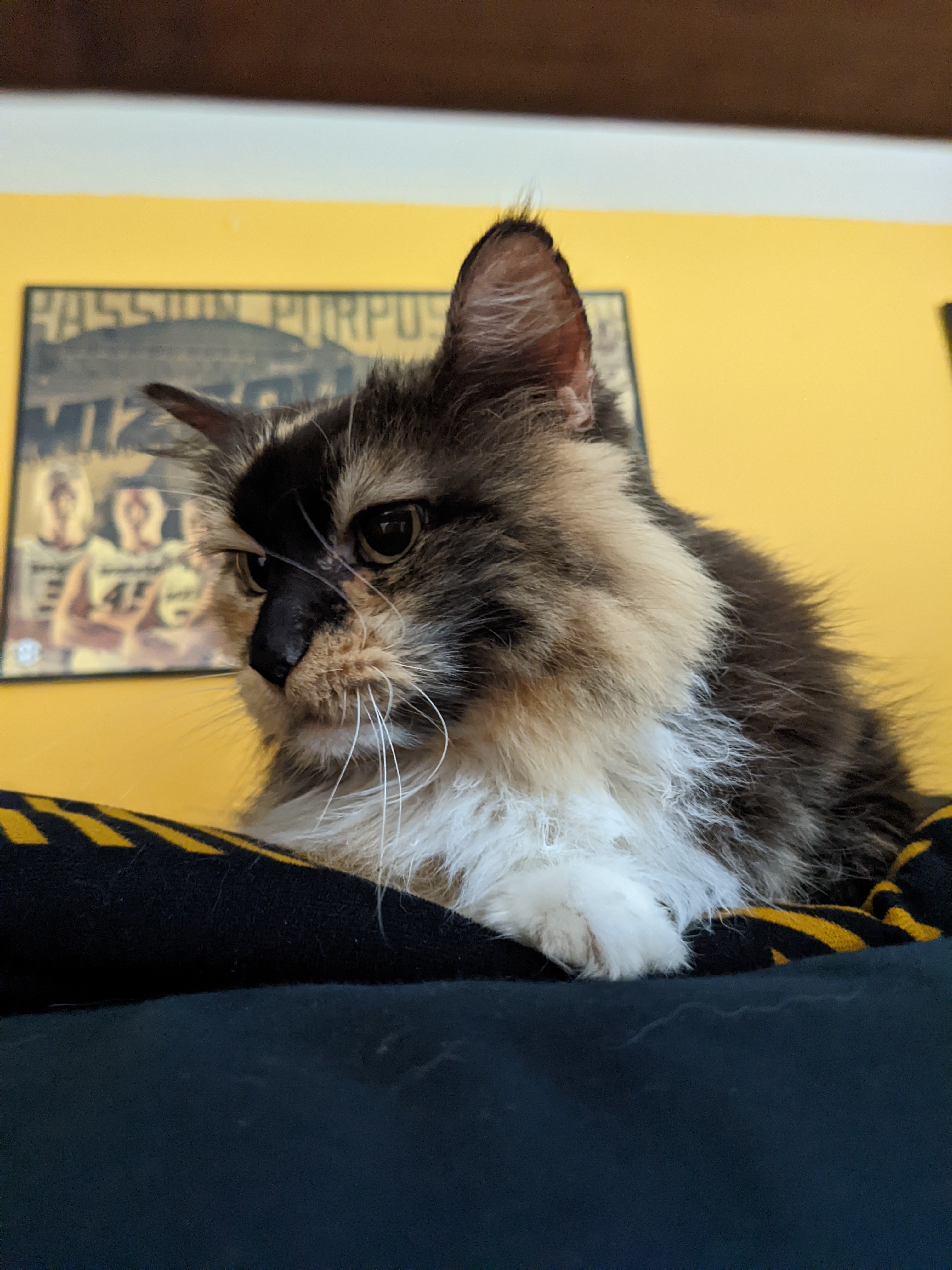 PXL 20220818 163208923