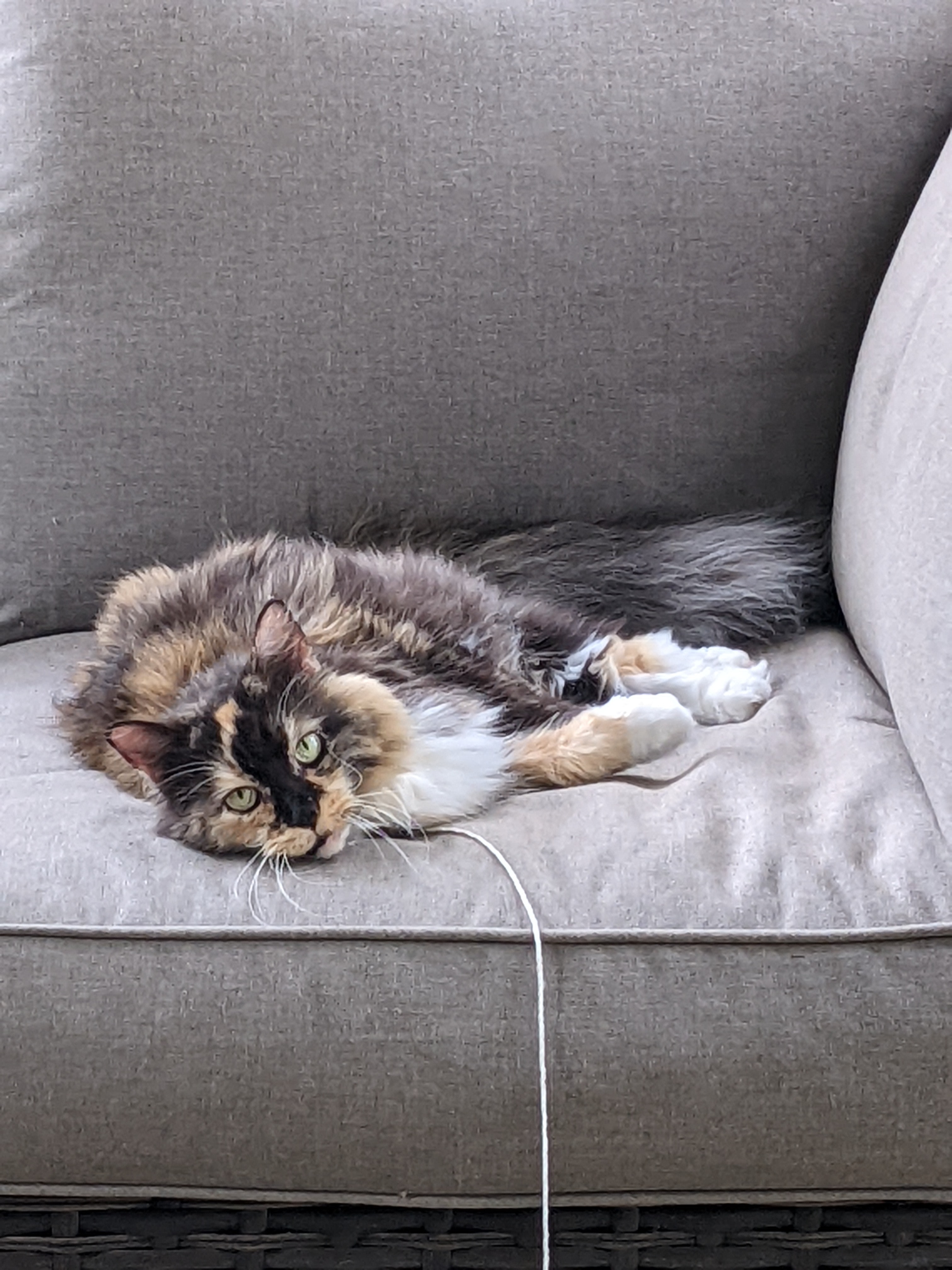 PXL 20220819 200028090