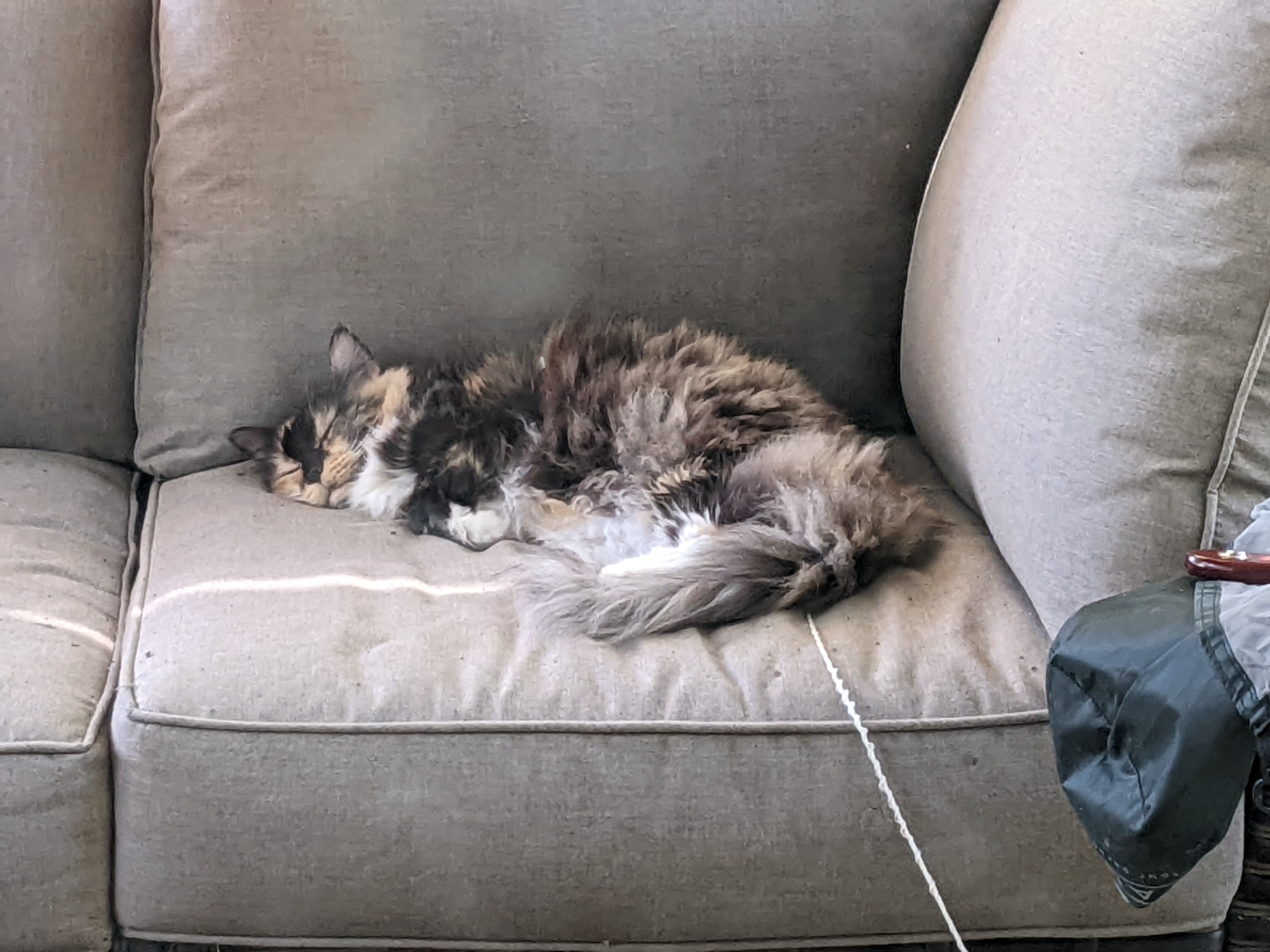 PXL 20220822 173744030